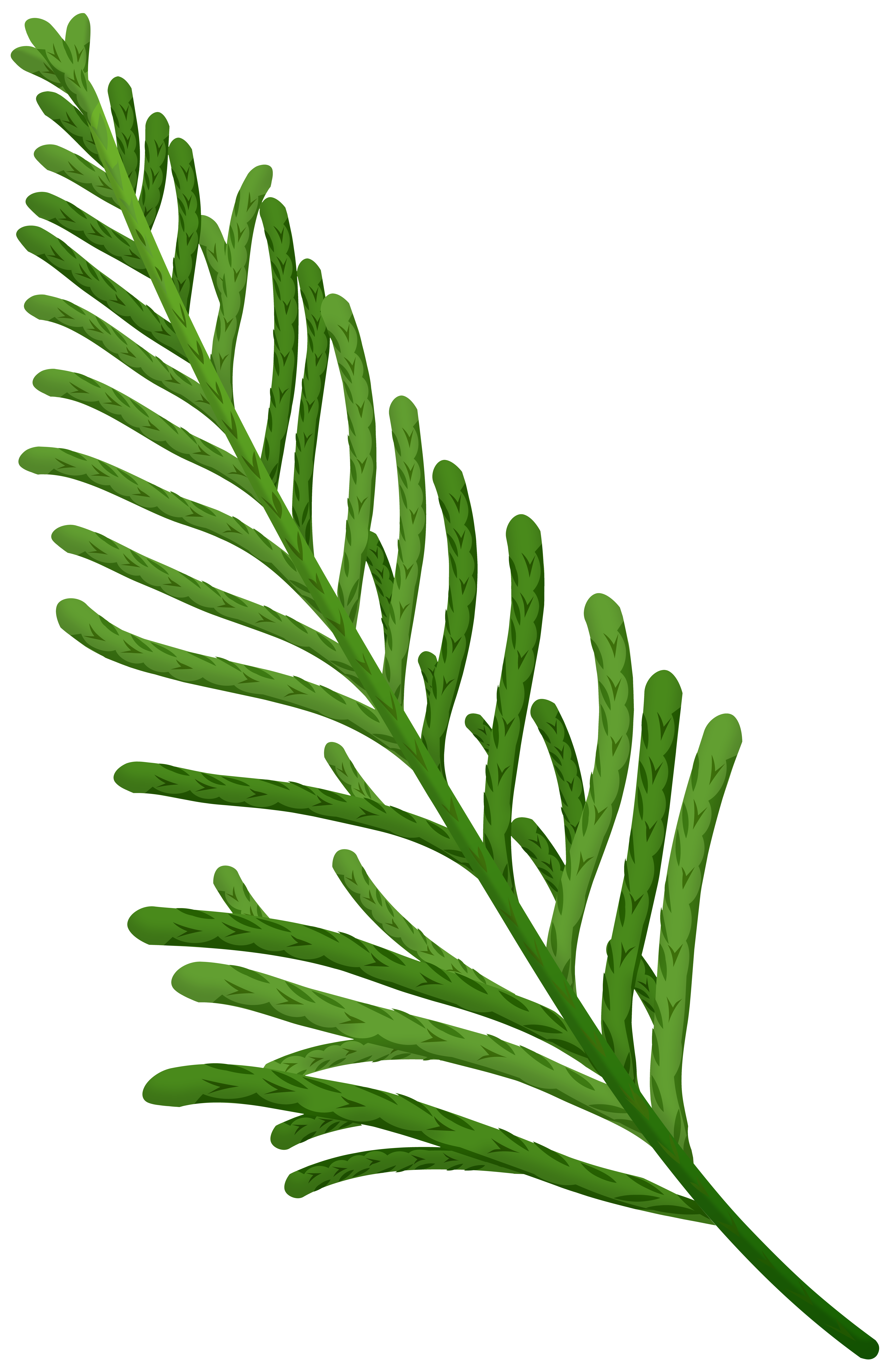 twigs clipart