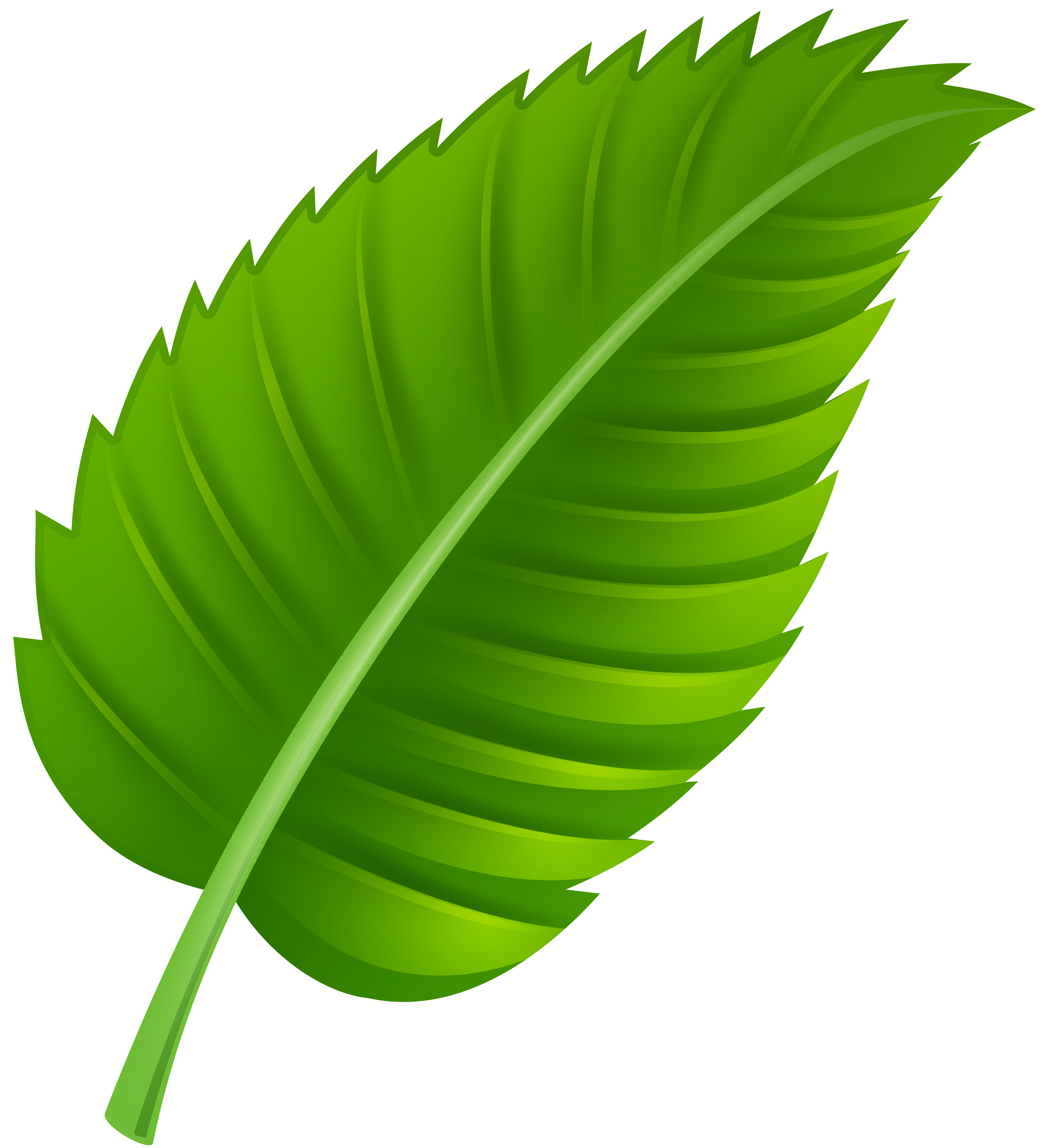 Green Leaf PNG Clip Art - Best WEB Clipart