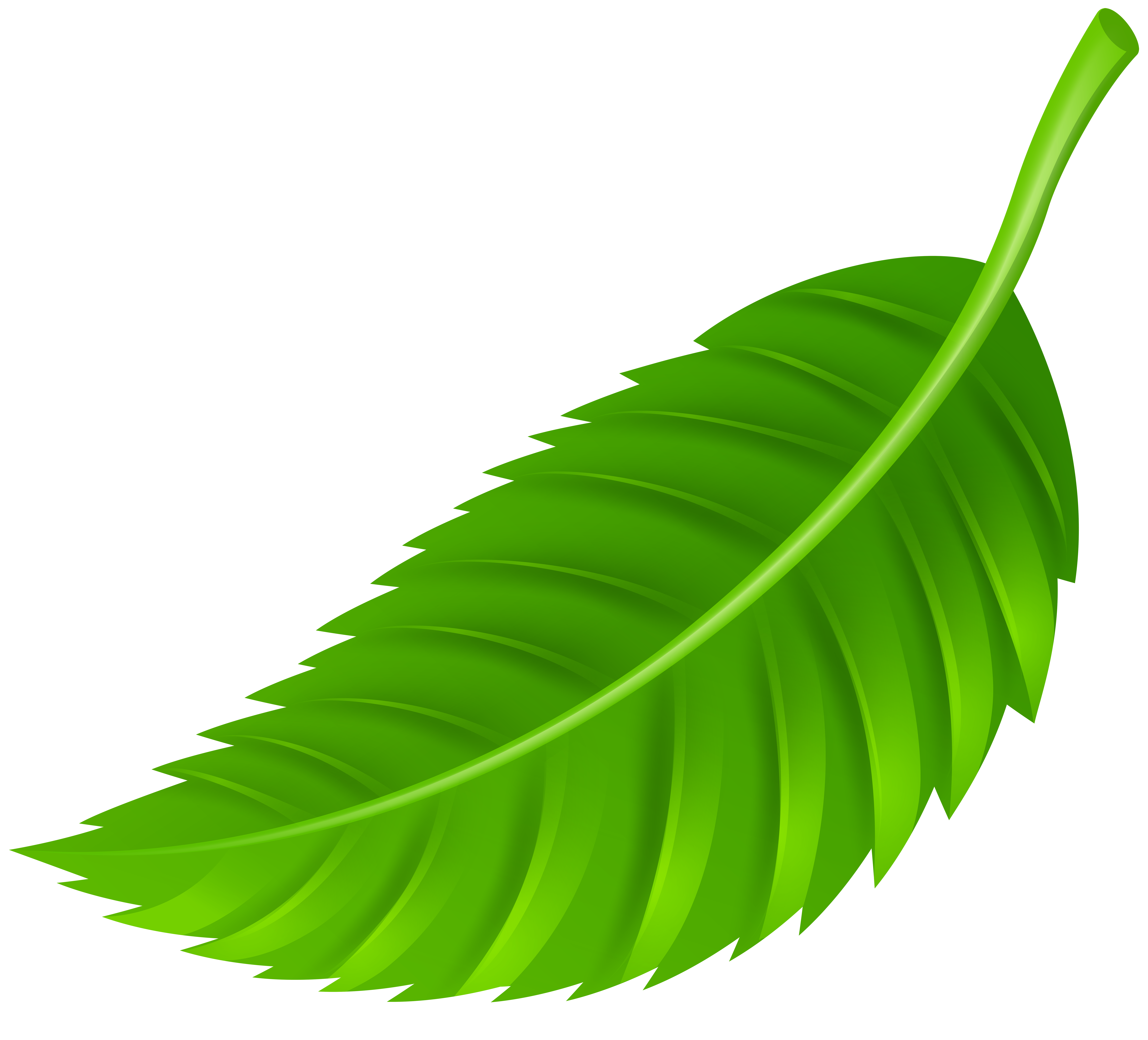 Leaf PNG Clip Art - Best WEB Clipart