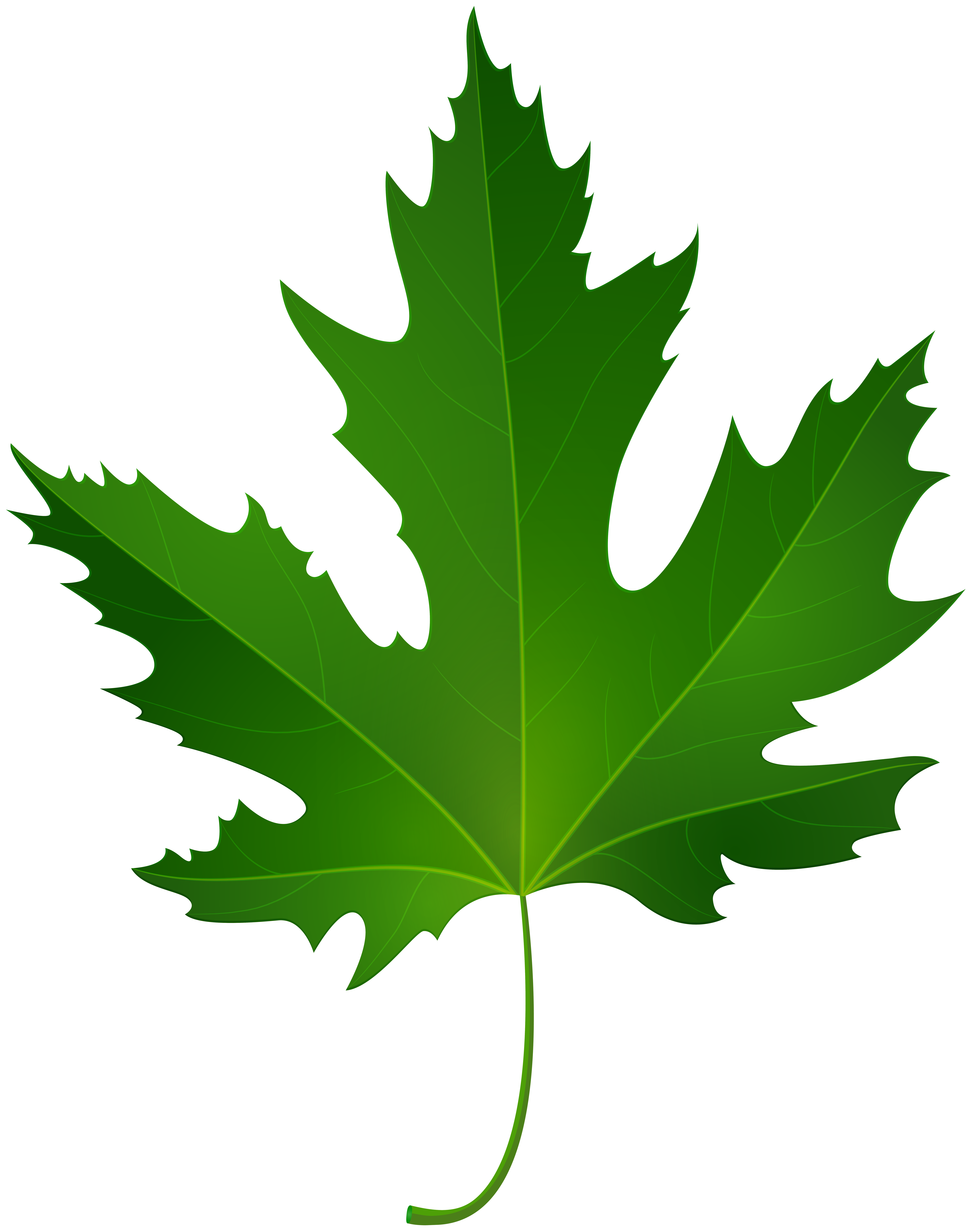 clip art maple leaf