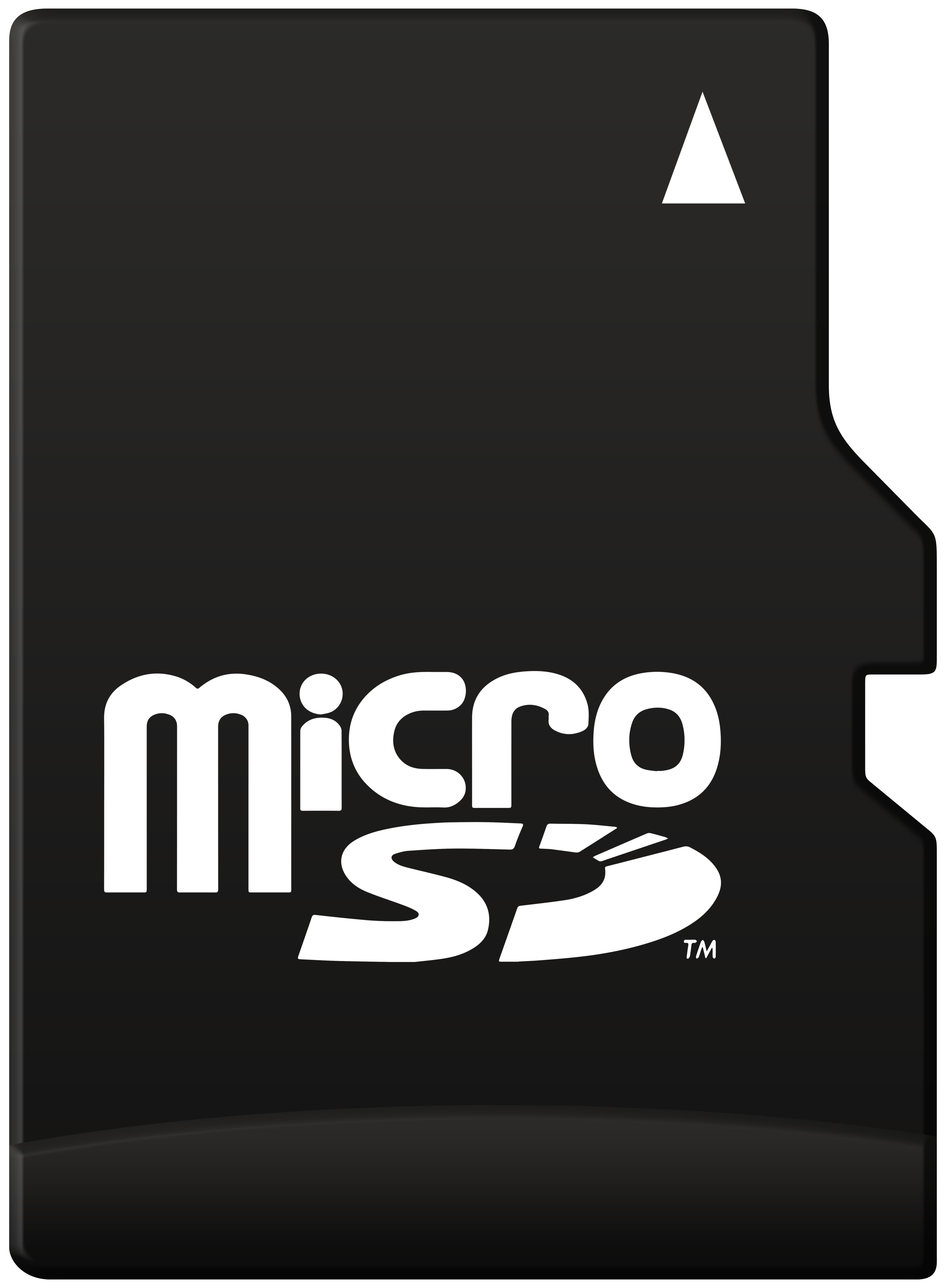 Micro SD Card PNG - Best WEB