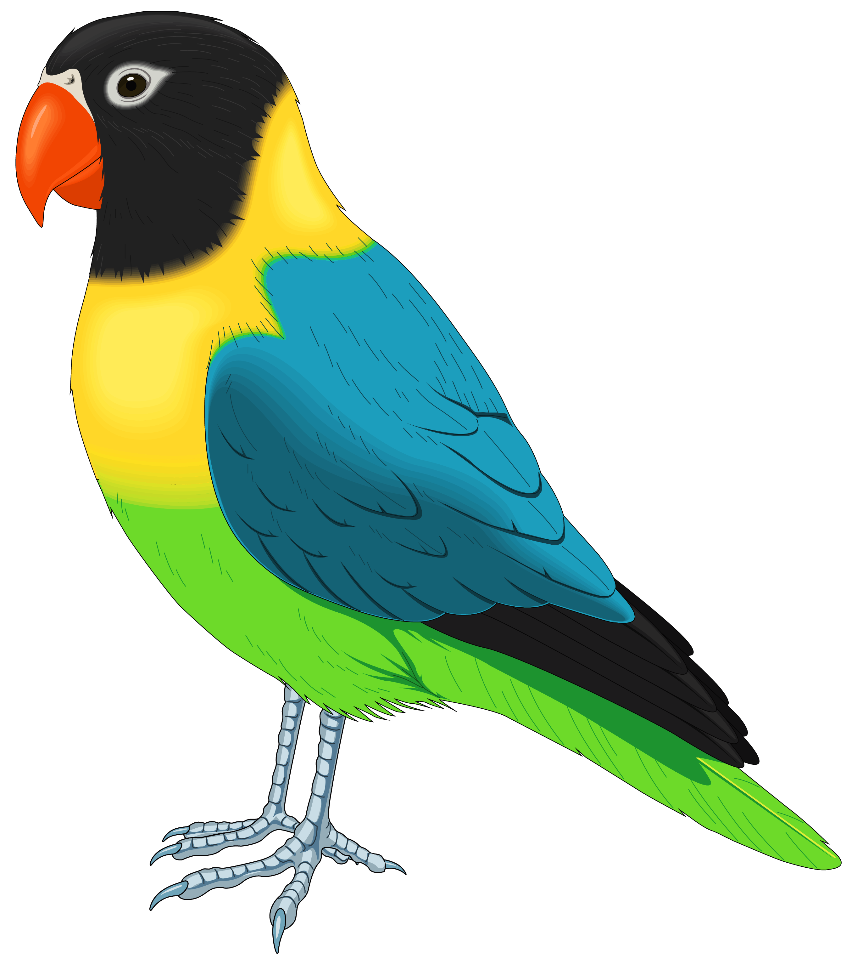 bird image clipart