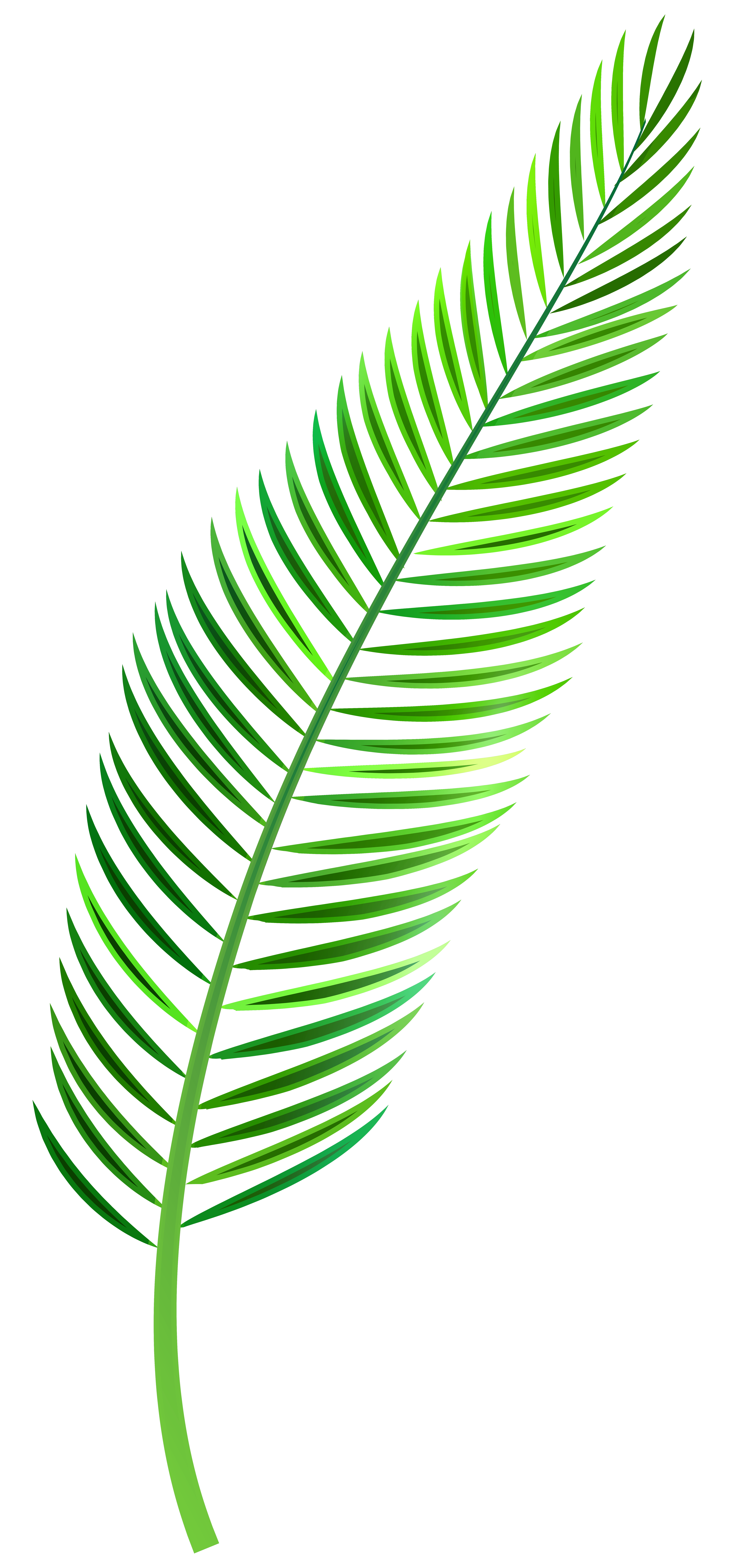 Palm Leaf PNG Clip Art - Best WEB Clipart