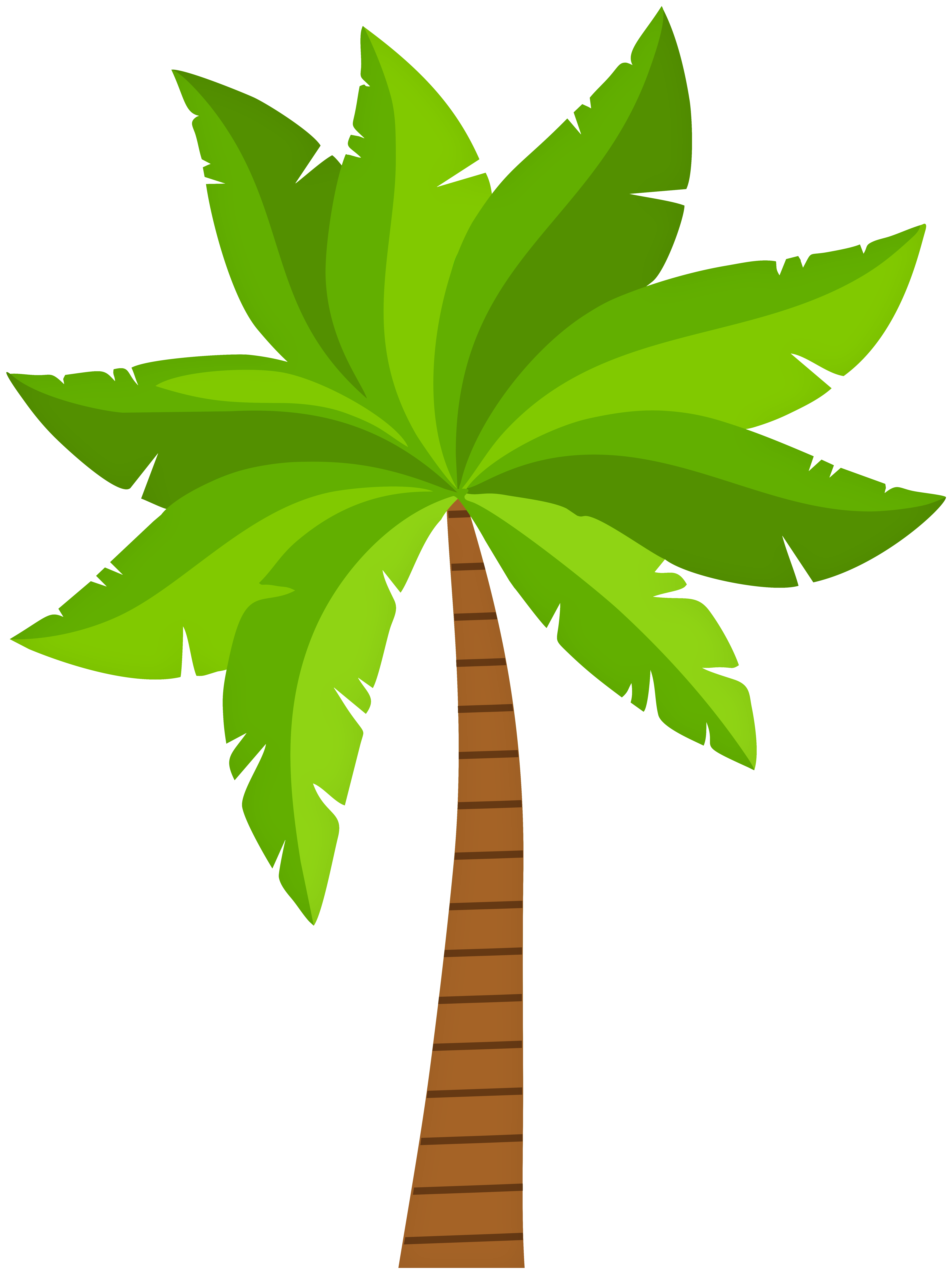 Palm PNG ClipArt - Best WEB Clipart