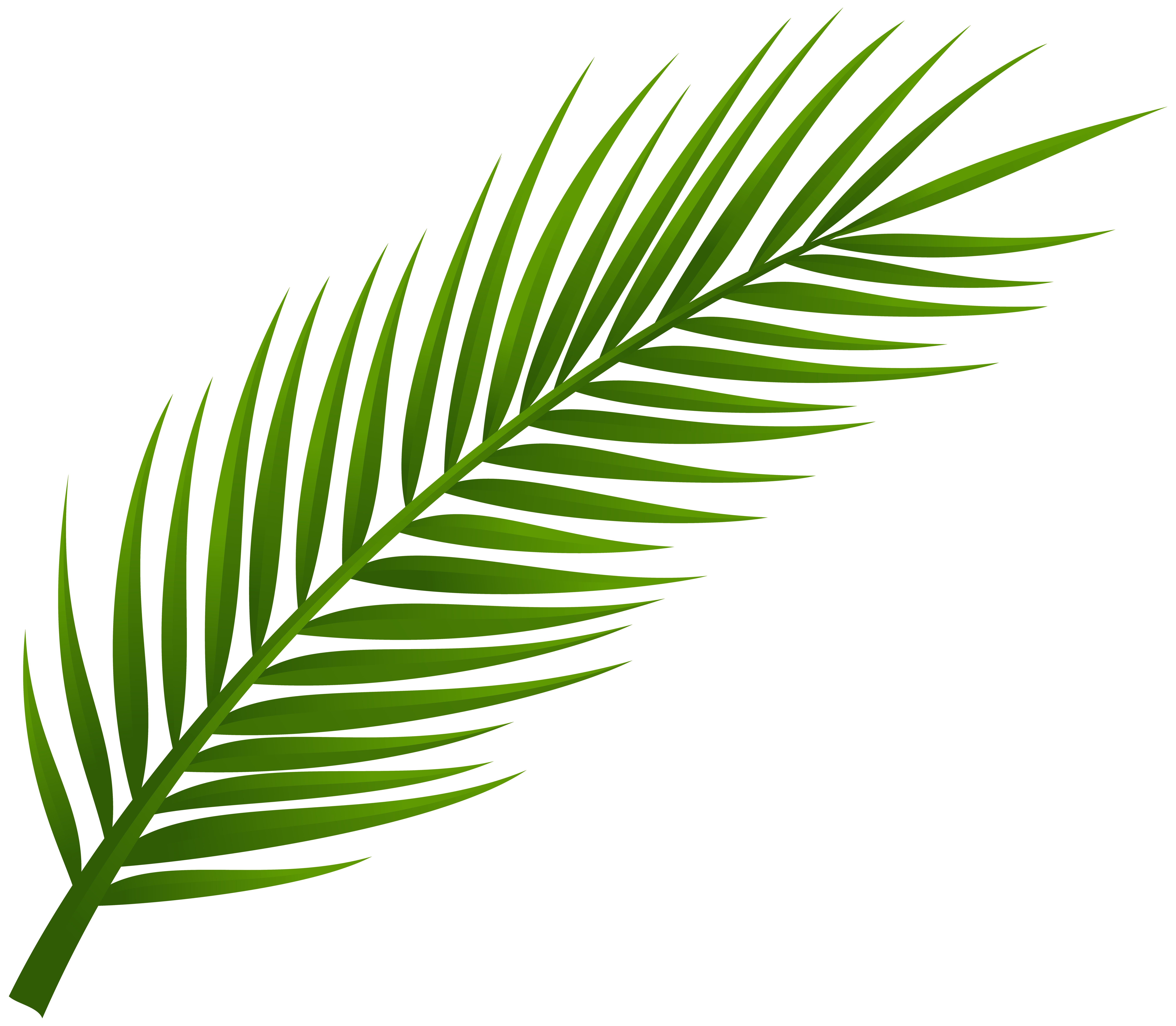 tropical leaf clip art
