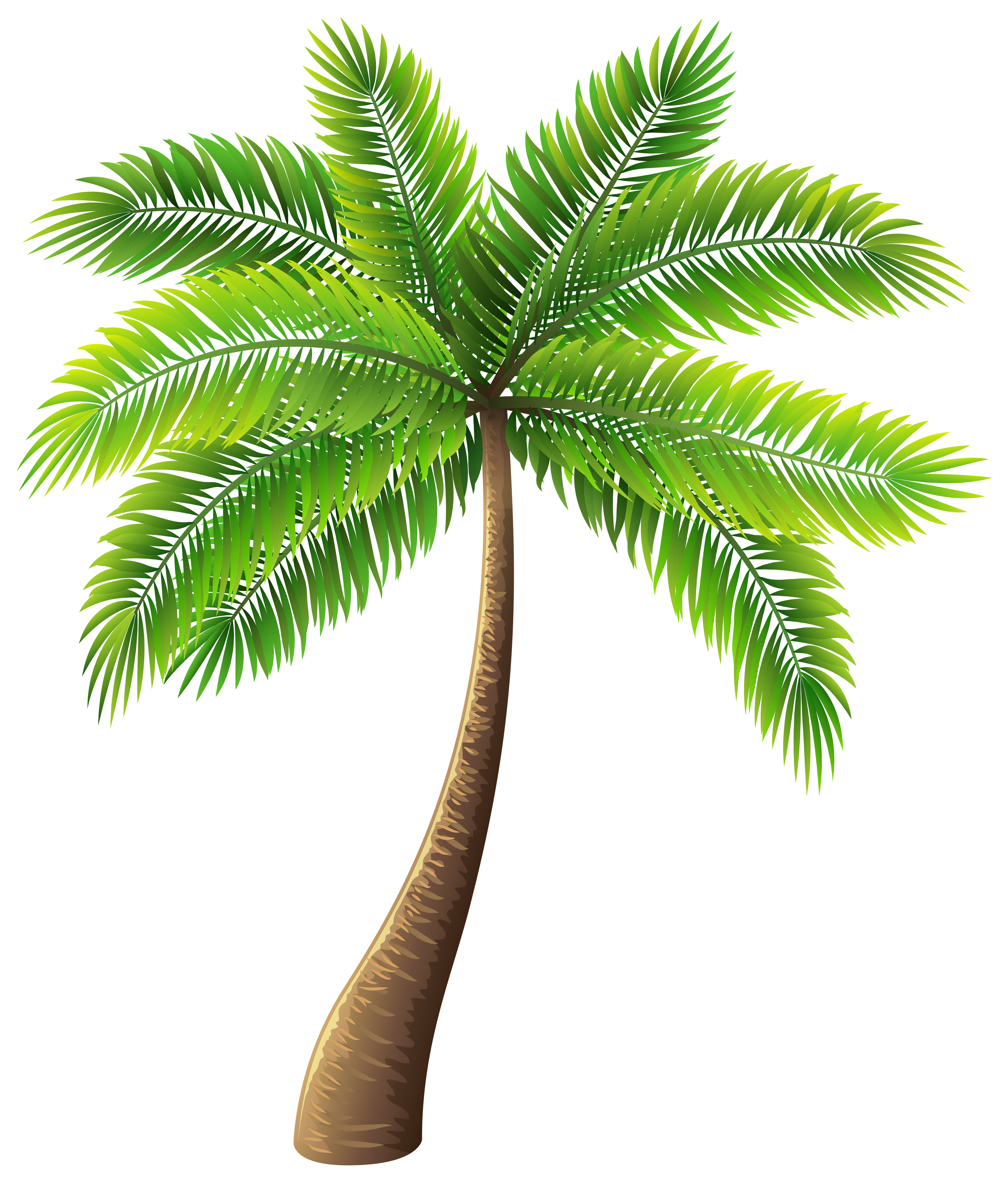 palm tree clip art transparent background