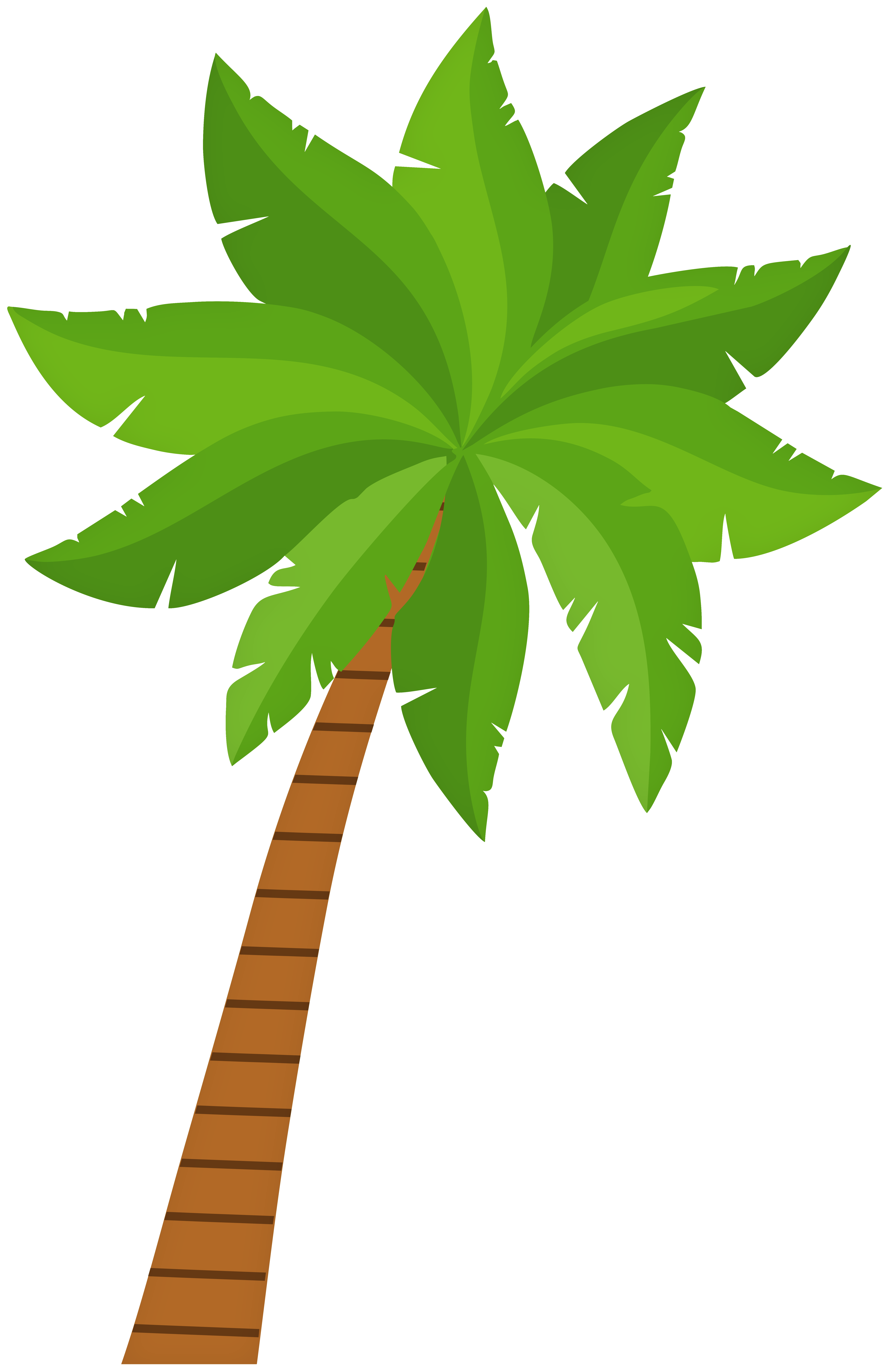 Palm Tree PNG Clip Art - Best WEB Clipart