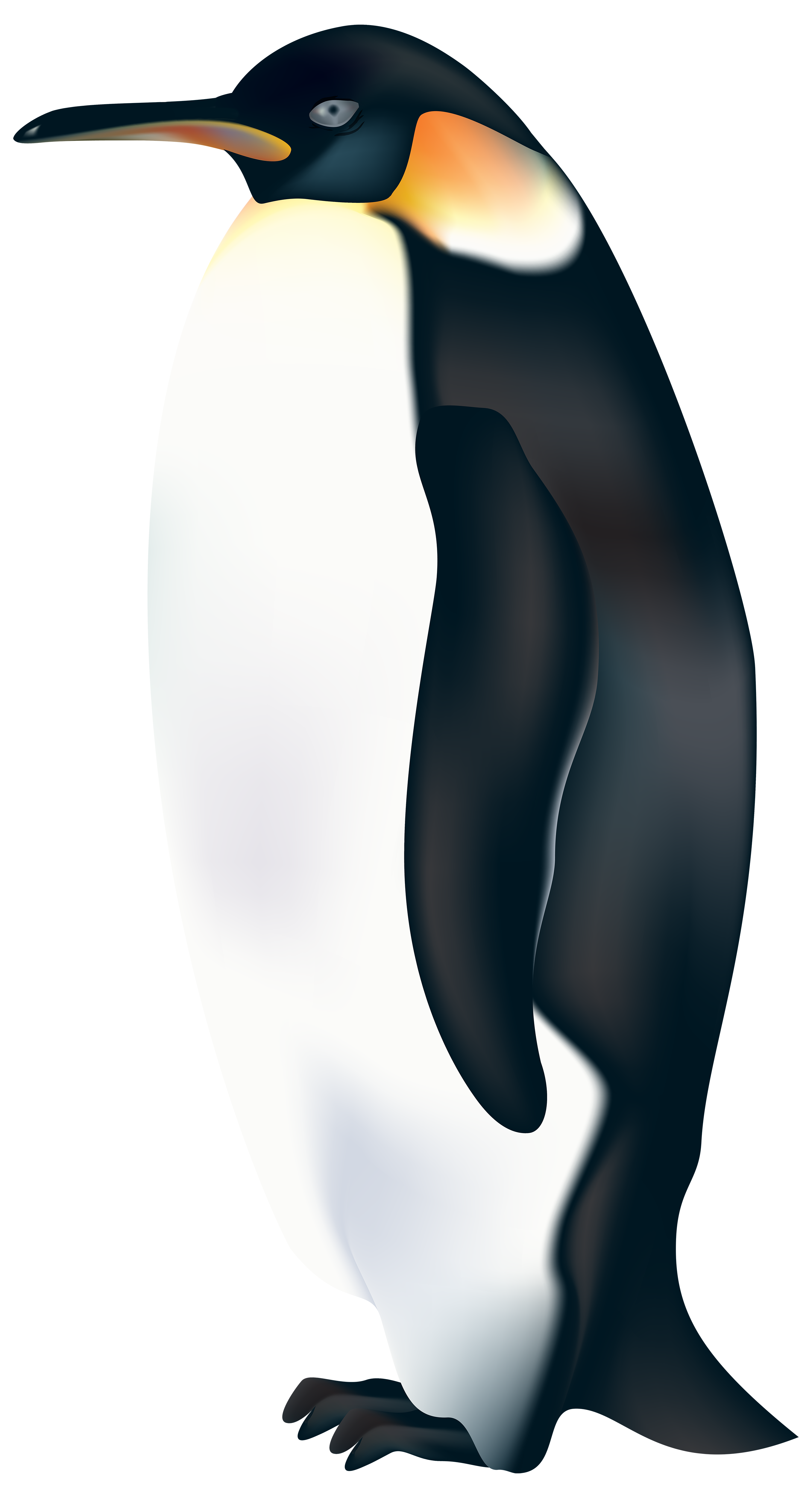 penguin pictures clip art