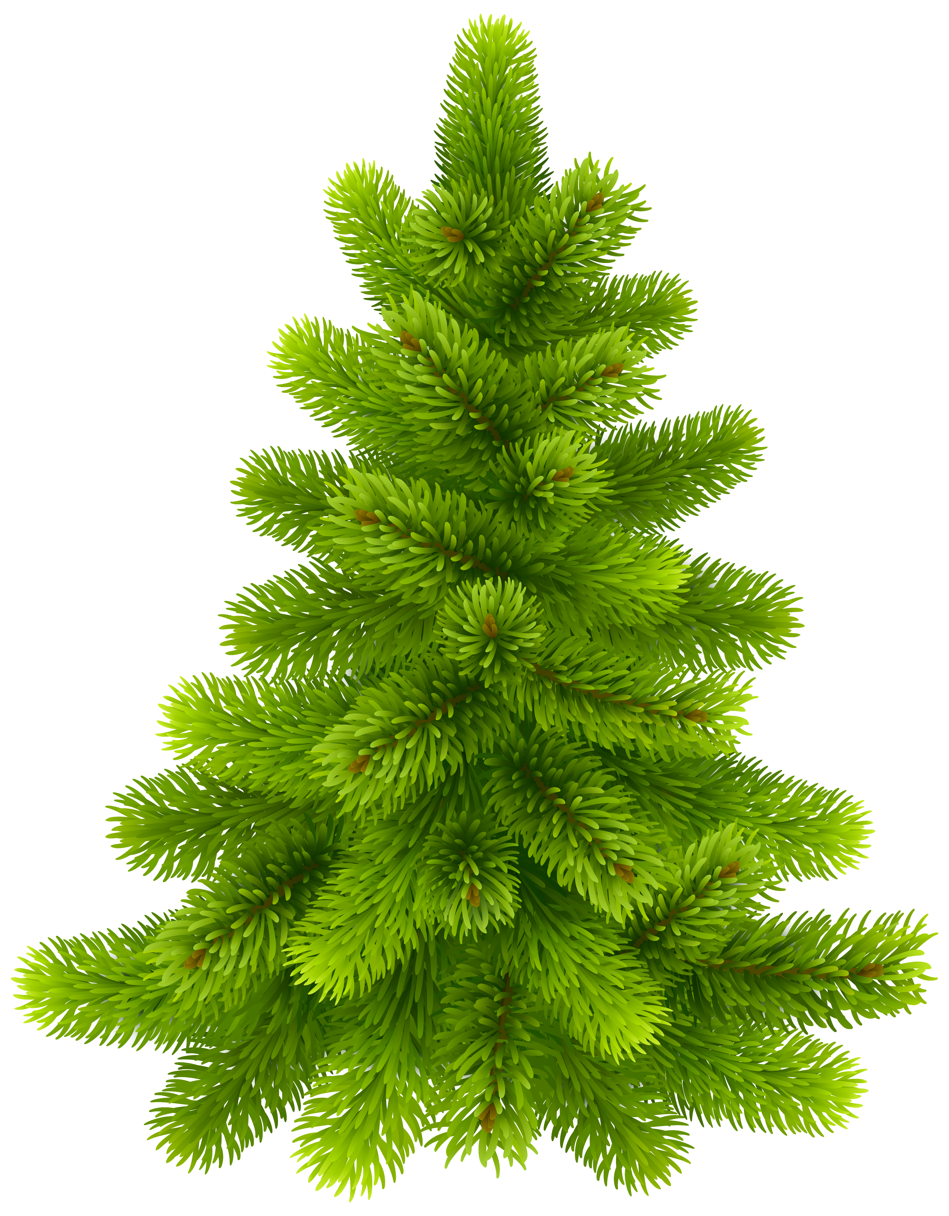 Pine Tree PNG Clip Art - Best WEB Clipart