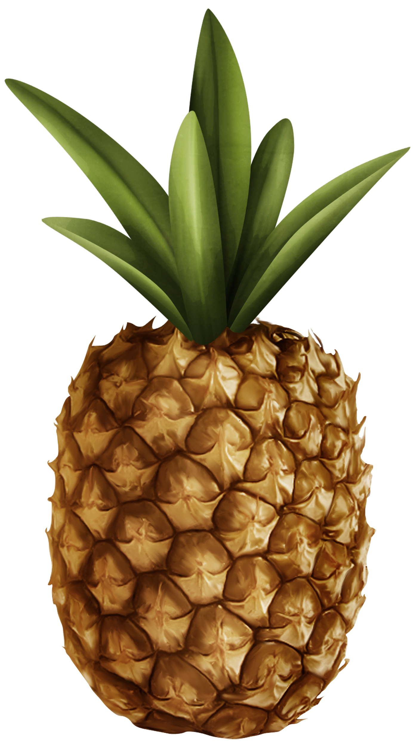 Pineapple Png / Choose from 2400+ pineapple graphic resources and ...