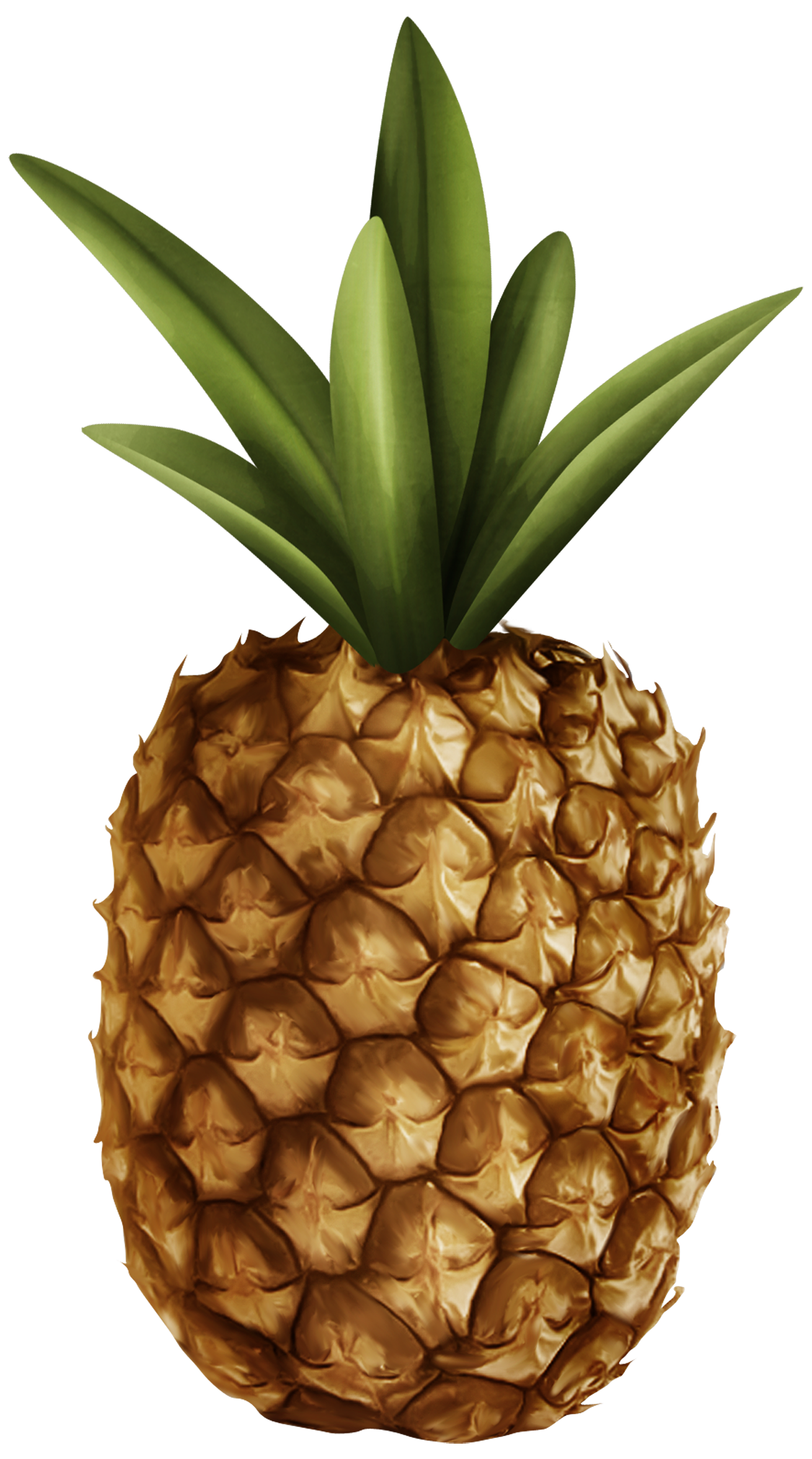 Pineapple PNG Clipart - Best WEB Clipart