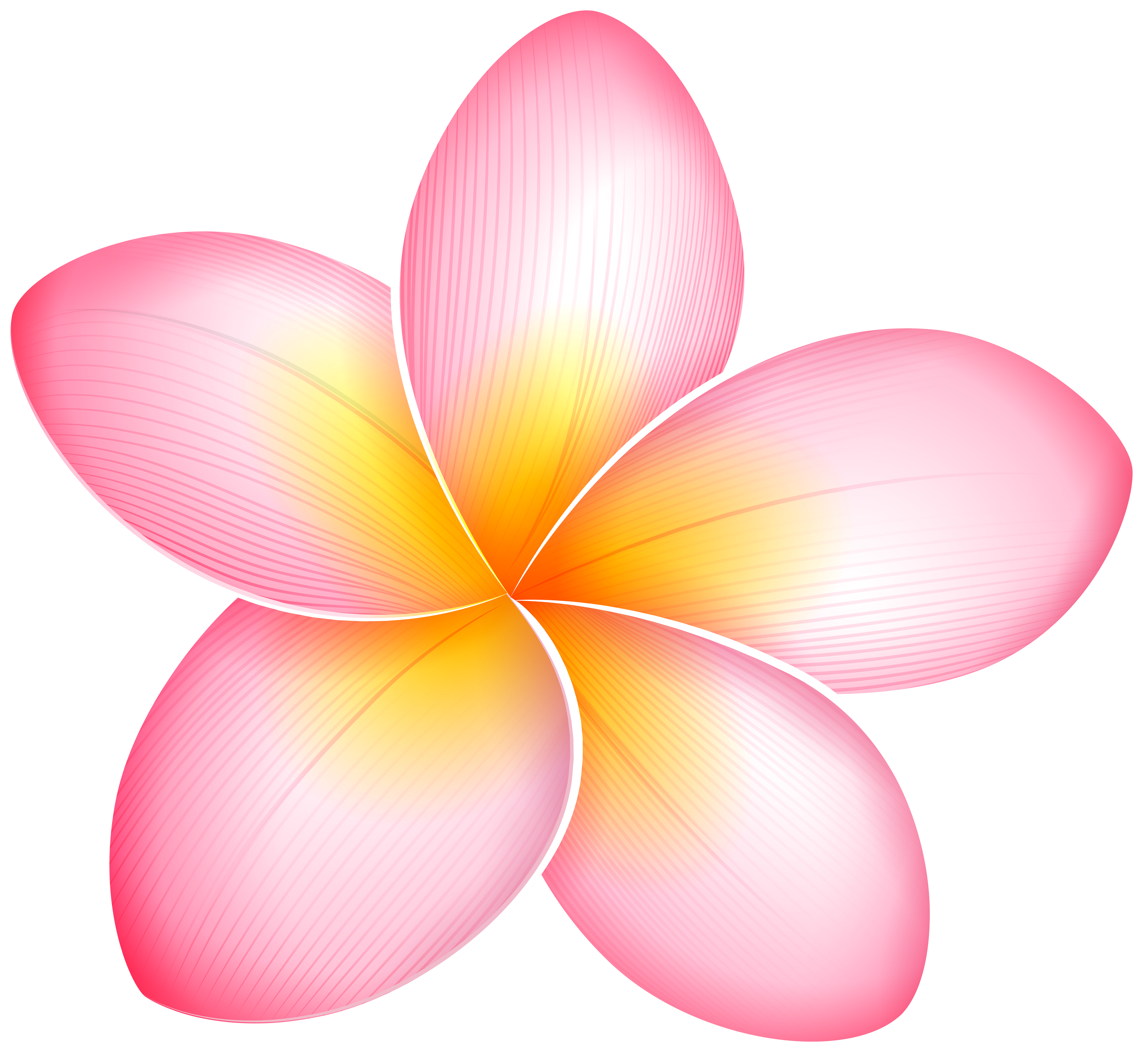 Pink Exotic Flower PNG Clip Art - Best WEB Clipart