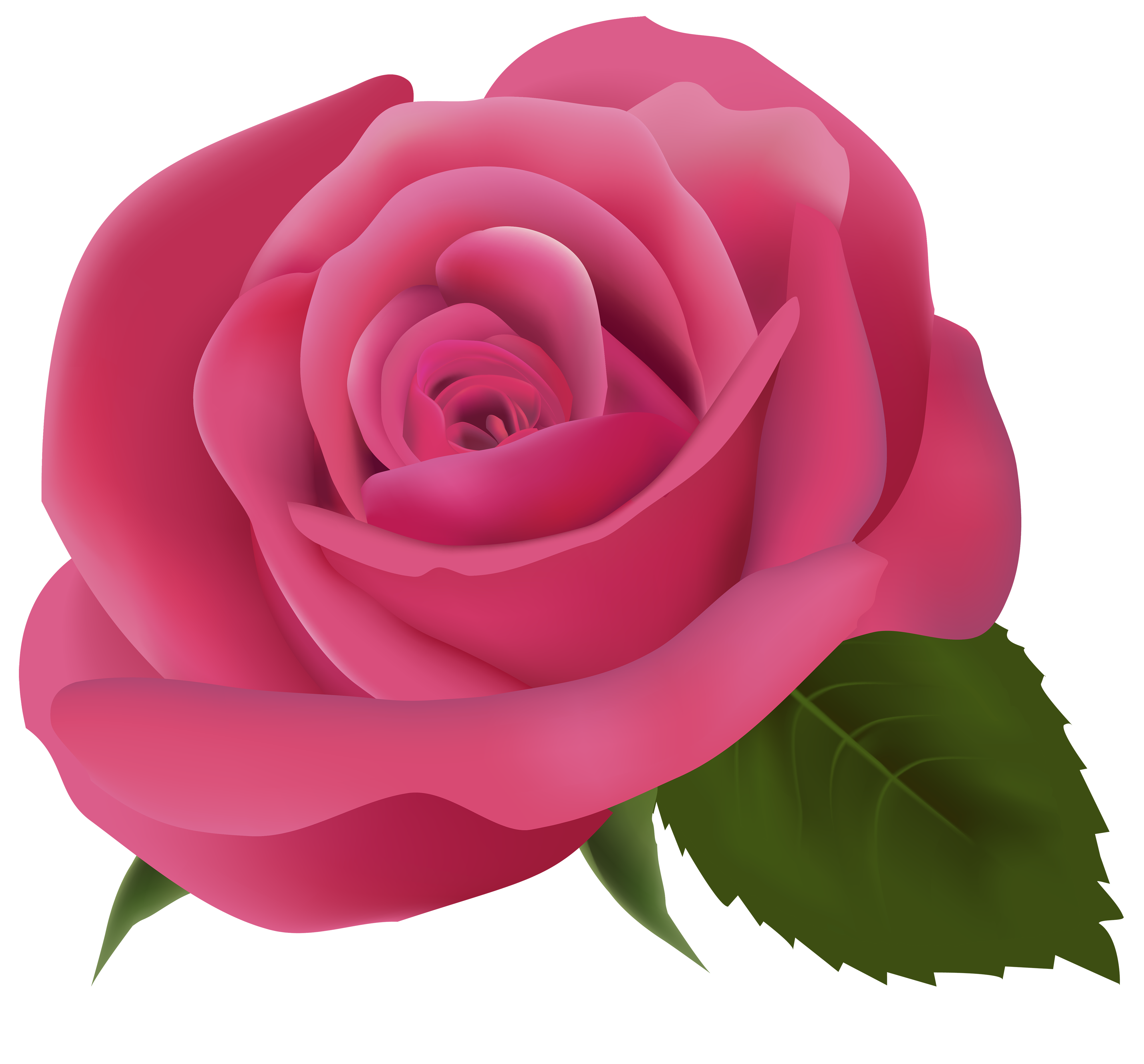 Transparent Png Images Roses