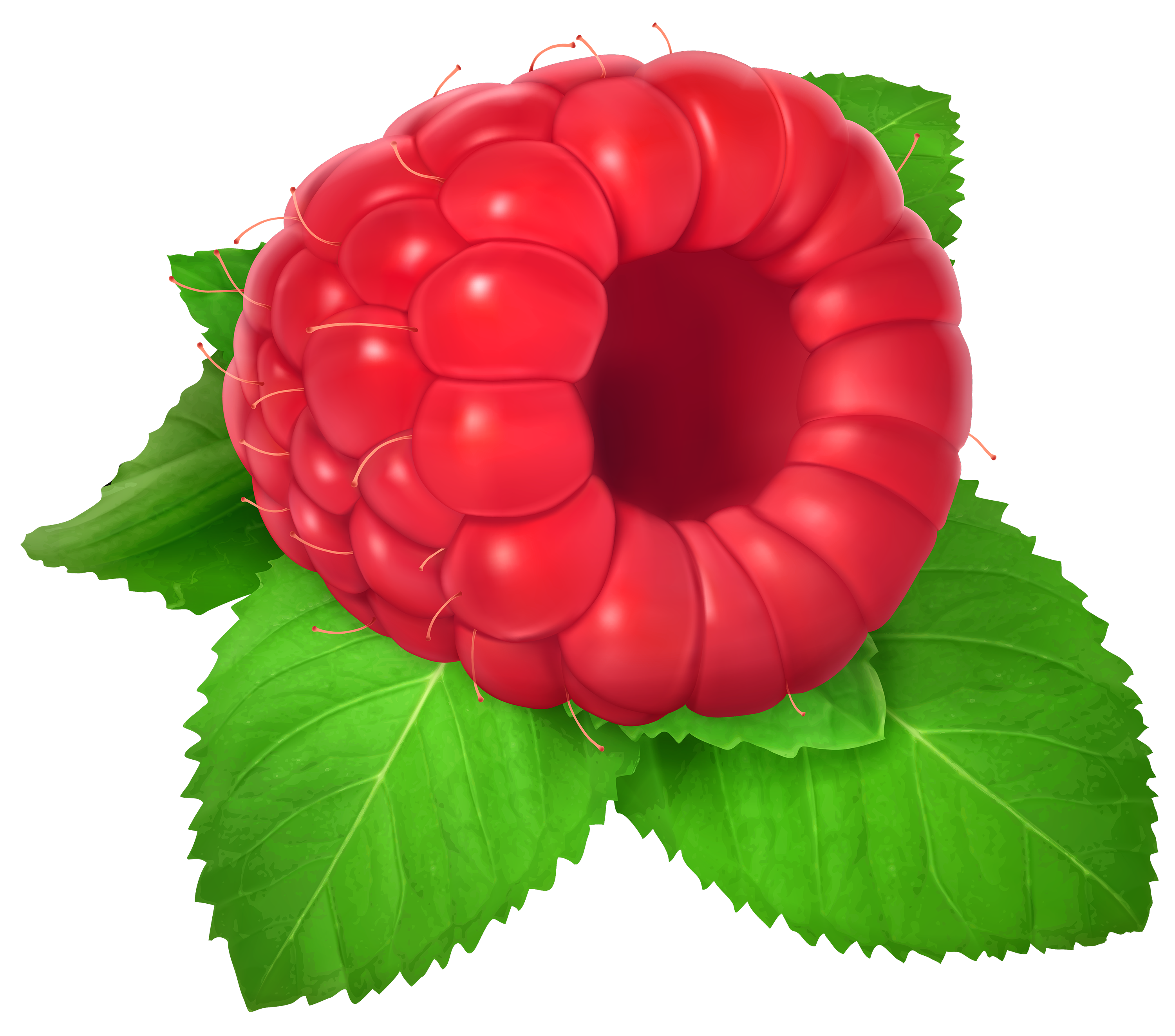 Cartoon Raspberry Clip Art