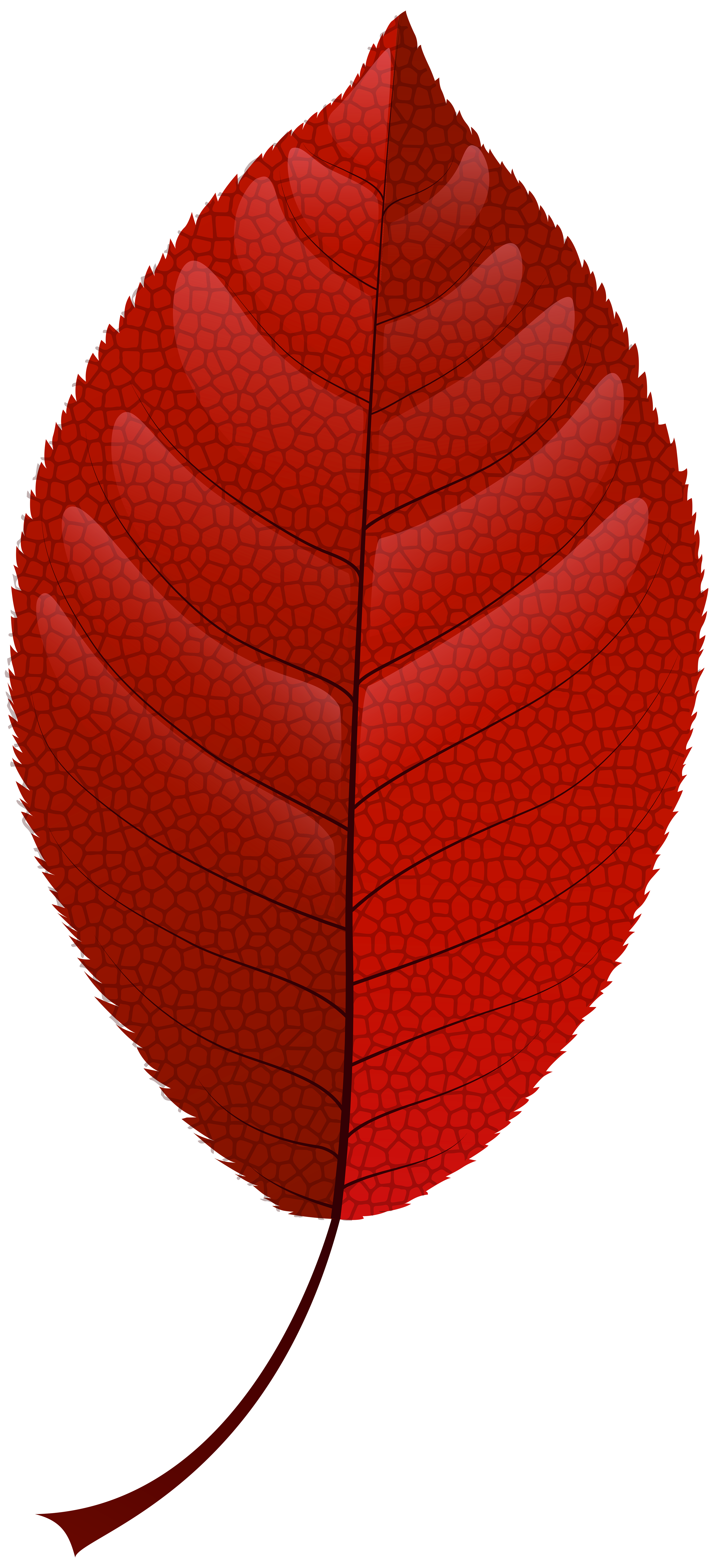 fall leaf clipart no background