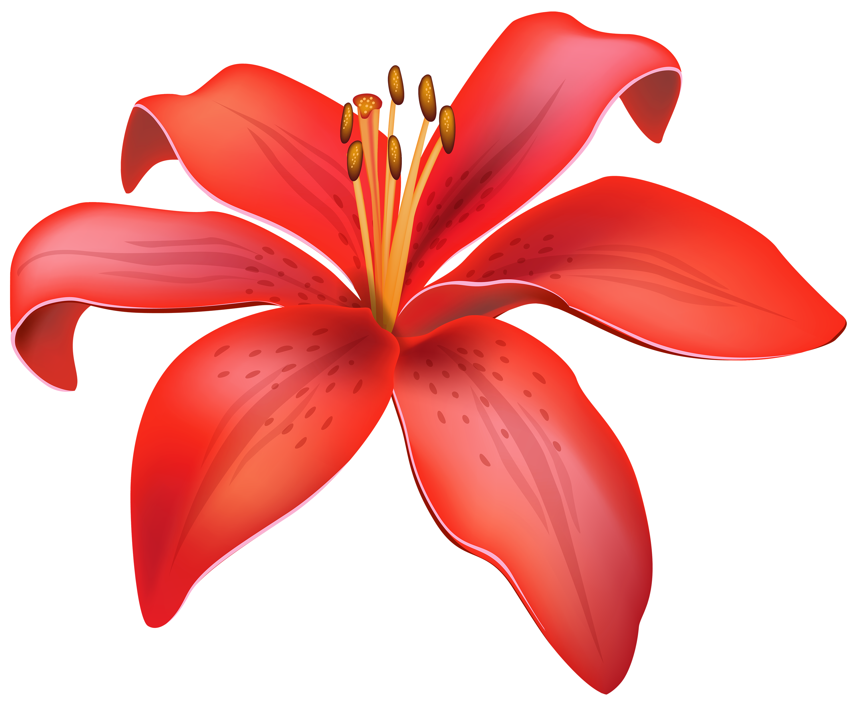 Red lily online flower