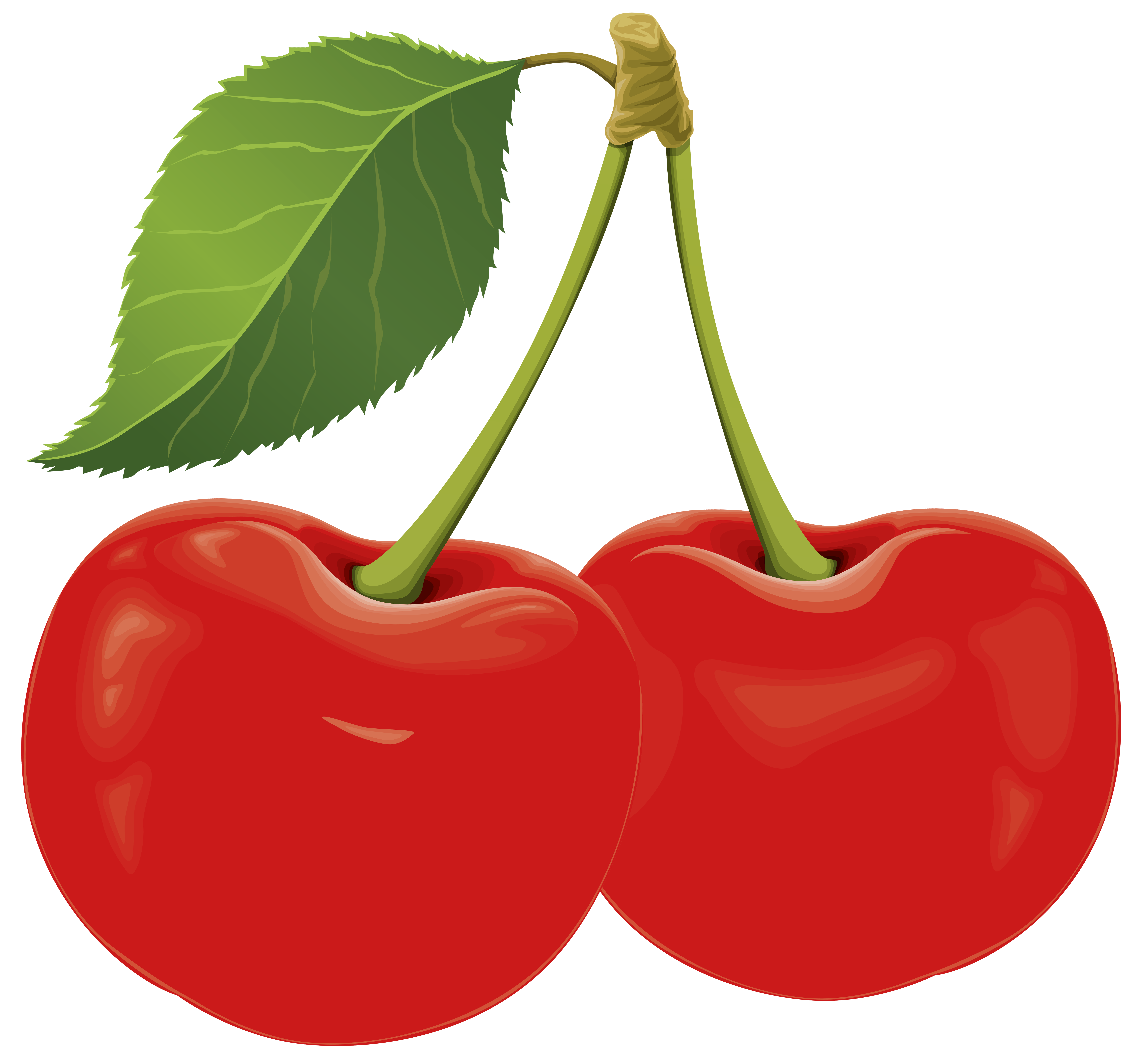 Sour Cherry PNG Clip Art - Best WEB Clipart
