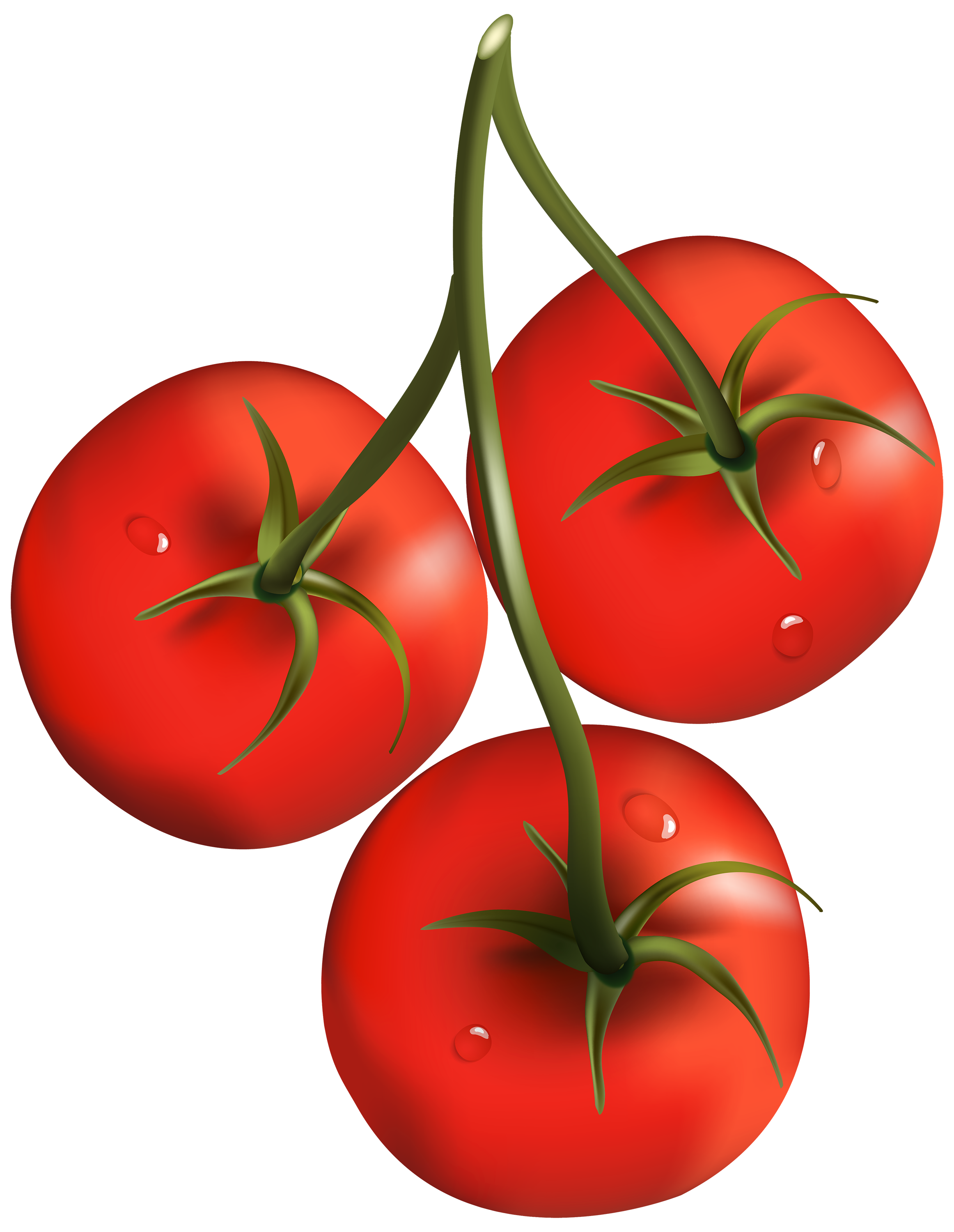 clipart tomatoes