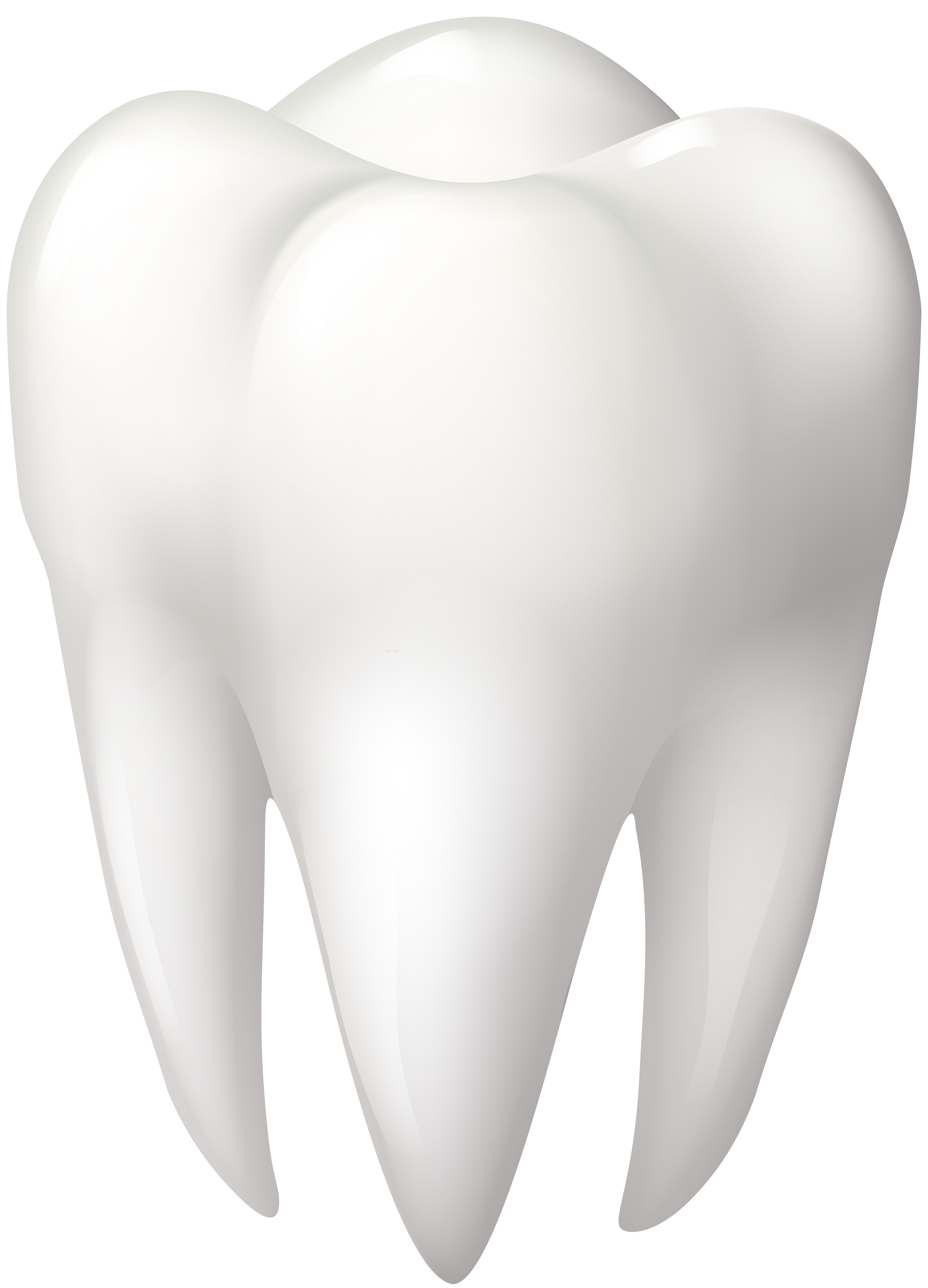 Tooth Molar PNG Clip Art - Best WEB Clipart