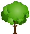 Trees PNG Category - High-quality transparent PNG Clipart Images