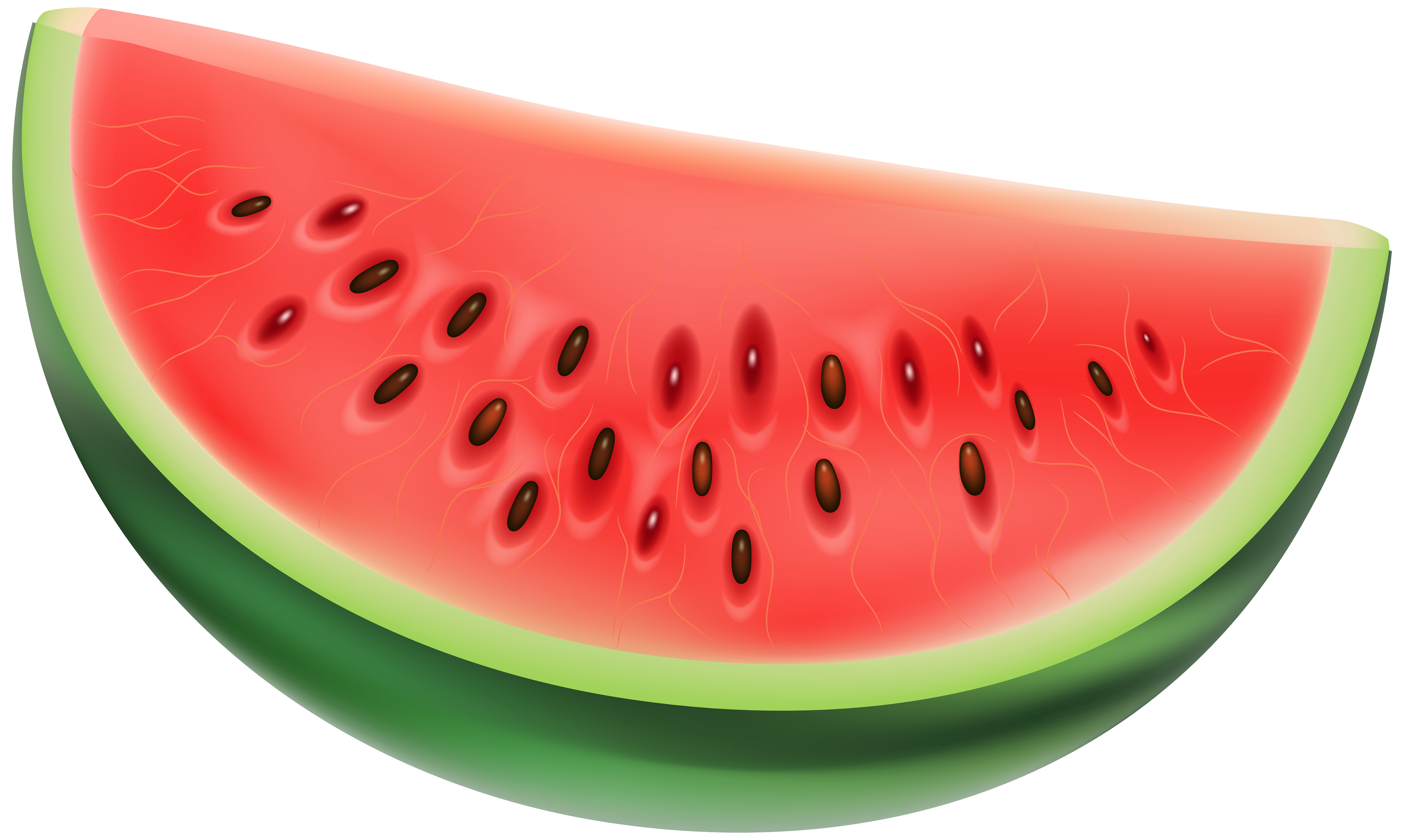 3d Watermelon Character, Watermelon Ai, Watermelon Mascot, Fruit PNG Transparent Clipart Image ...