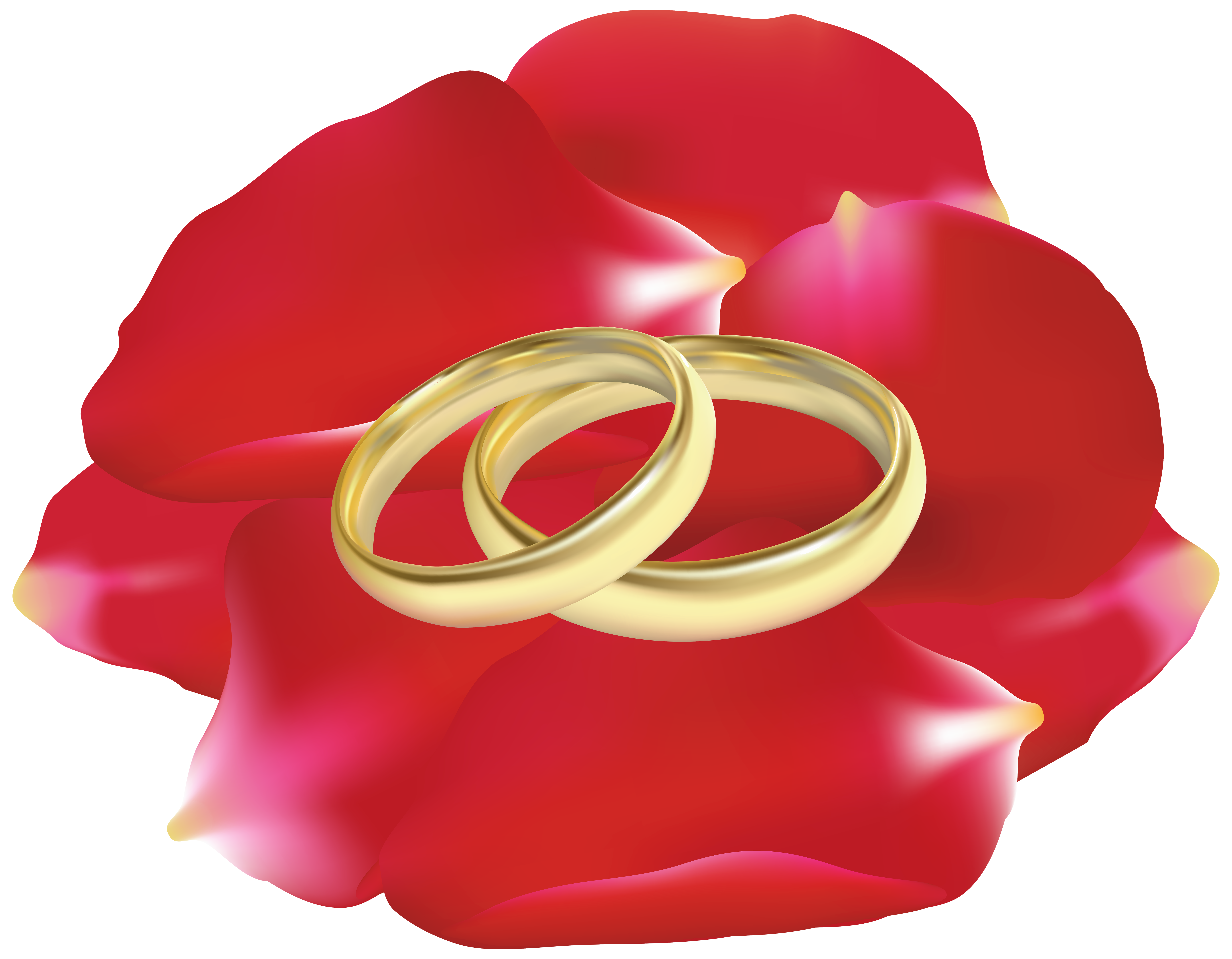 Wedding Rings in Rose Petals PNG Clip Art - Best WEB Clipart