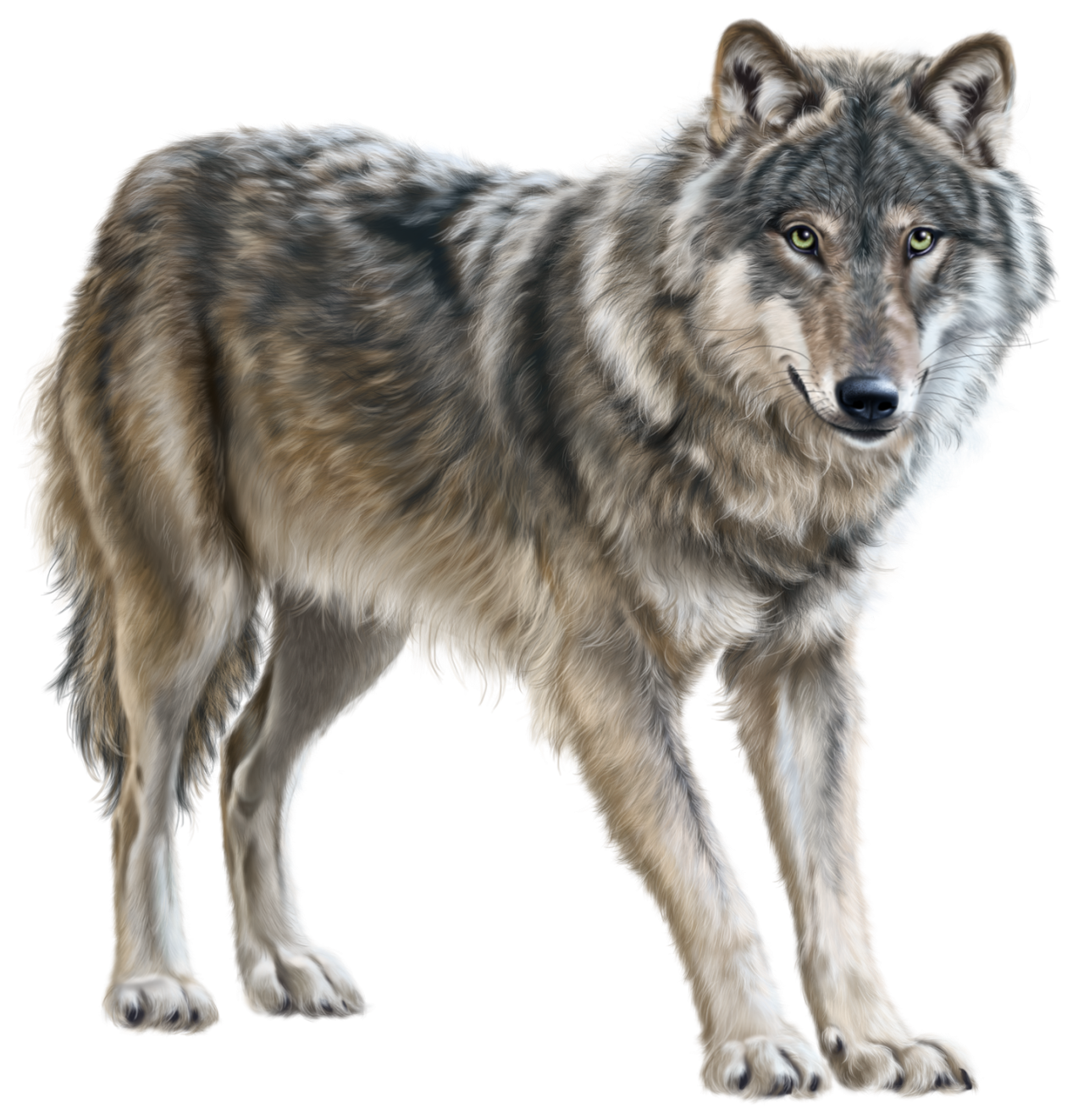 Wolf Png Stock Illustrations – 410 Wolf Png Stock Illustrations