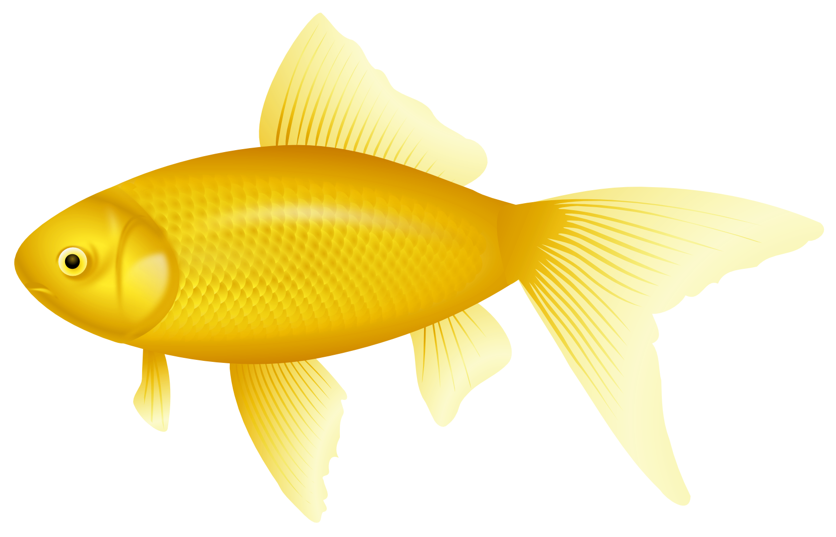 yellow fish clipart