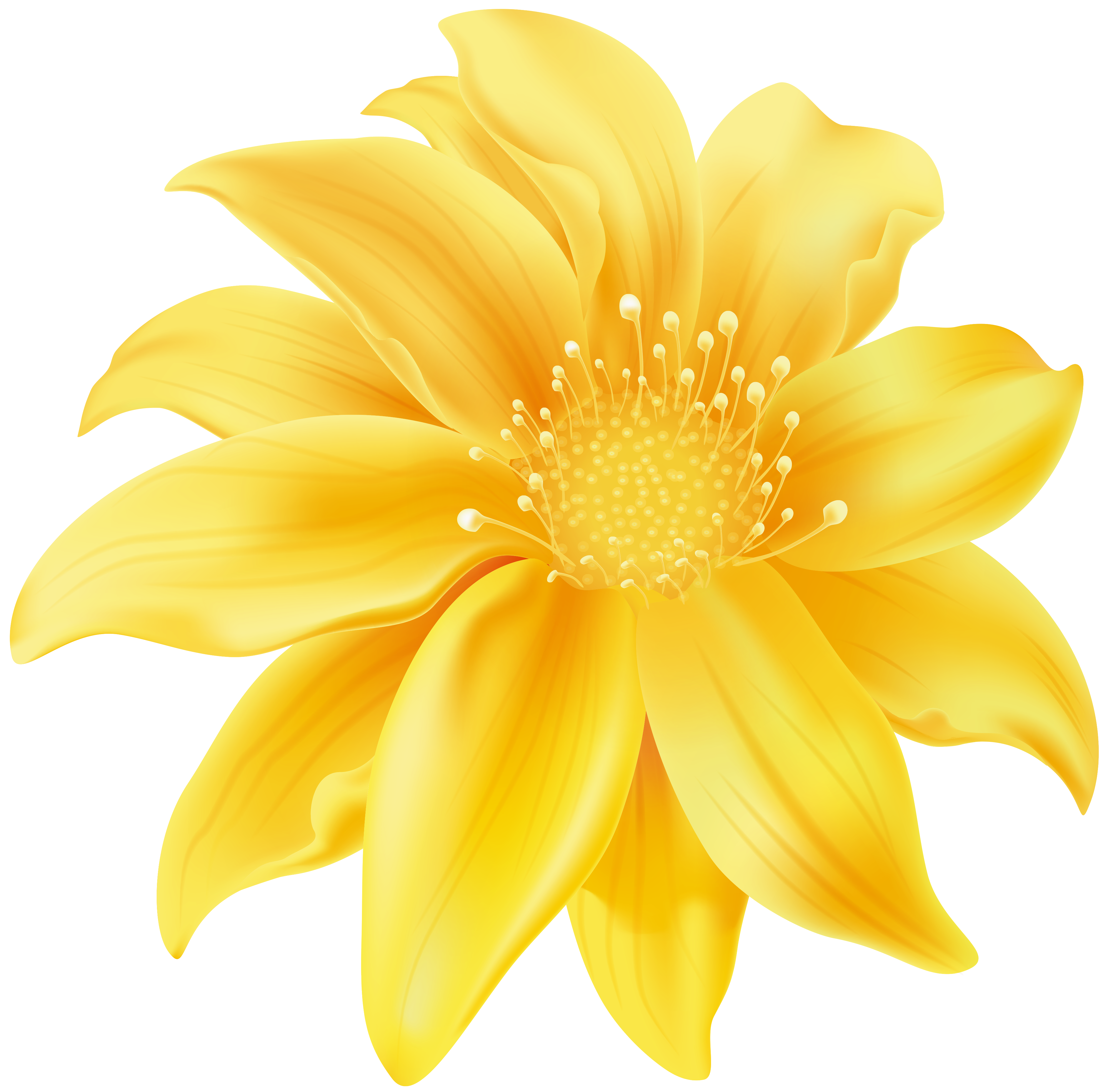 Yellow Flower PNG Clip Art - Best WEB Clipart