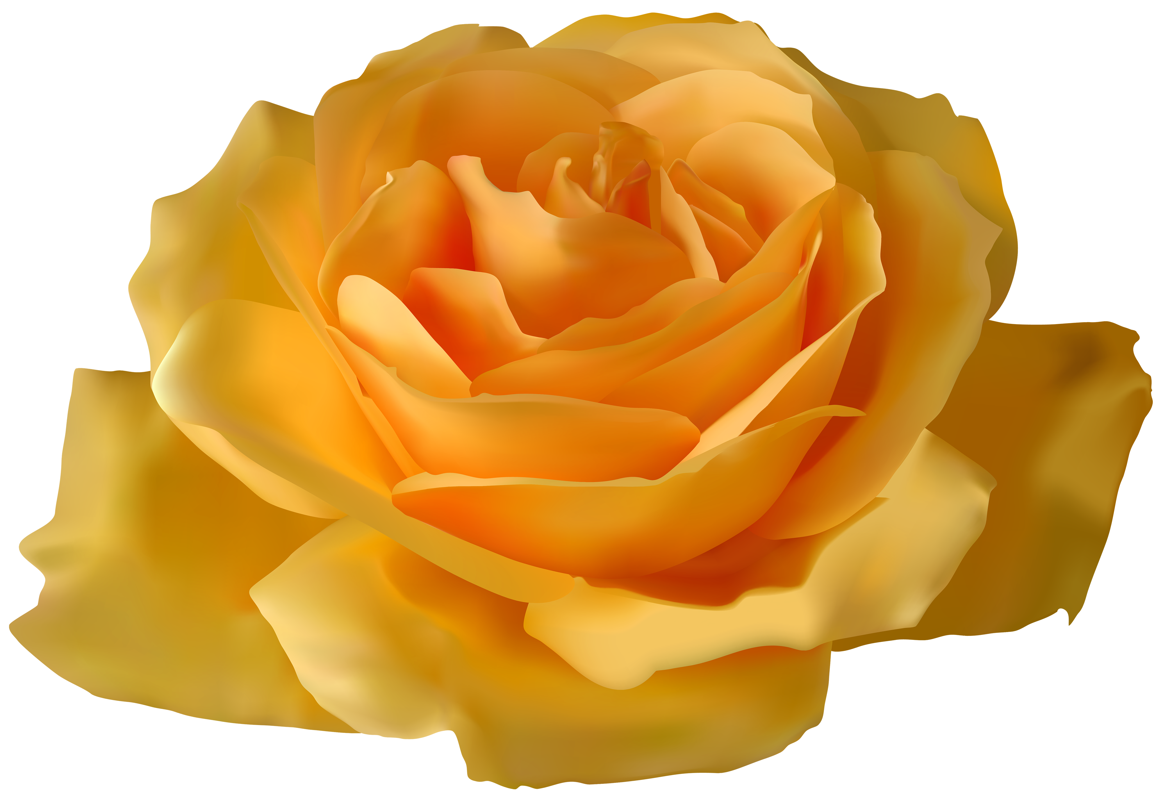 Yellow Rose Flower Png