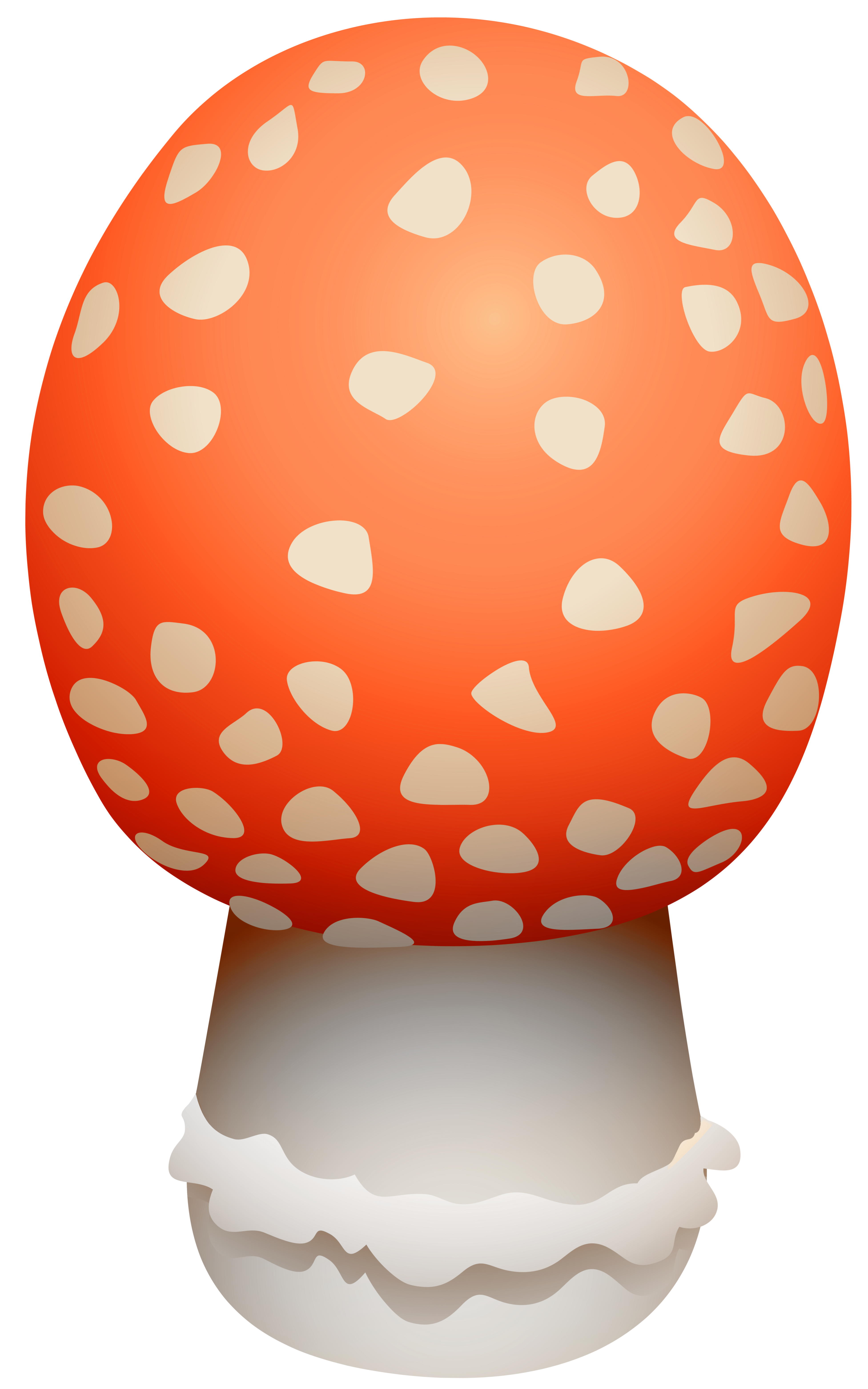 Amanita Muscaria Mushroom PNG Clipart - Best WEB Clipart