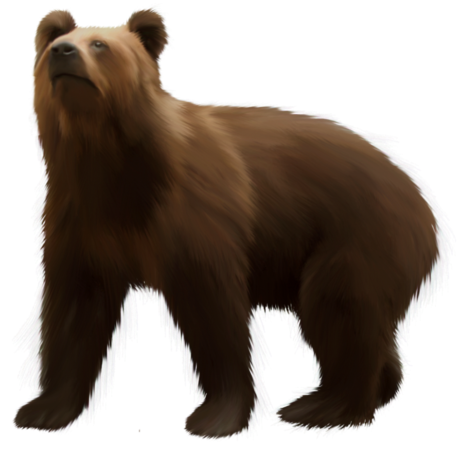 Bear Brown PNG Clip Art - Best WEB Clipart