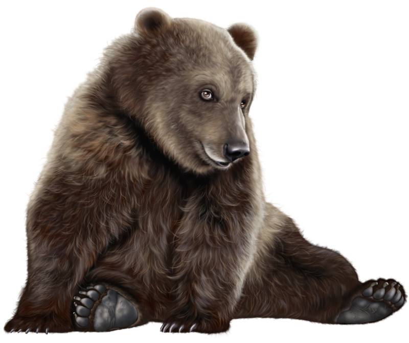 Bear PNG Clip Art - Best WEB Clipart