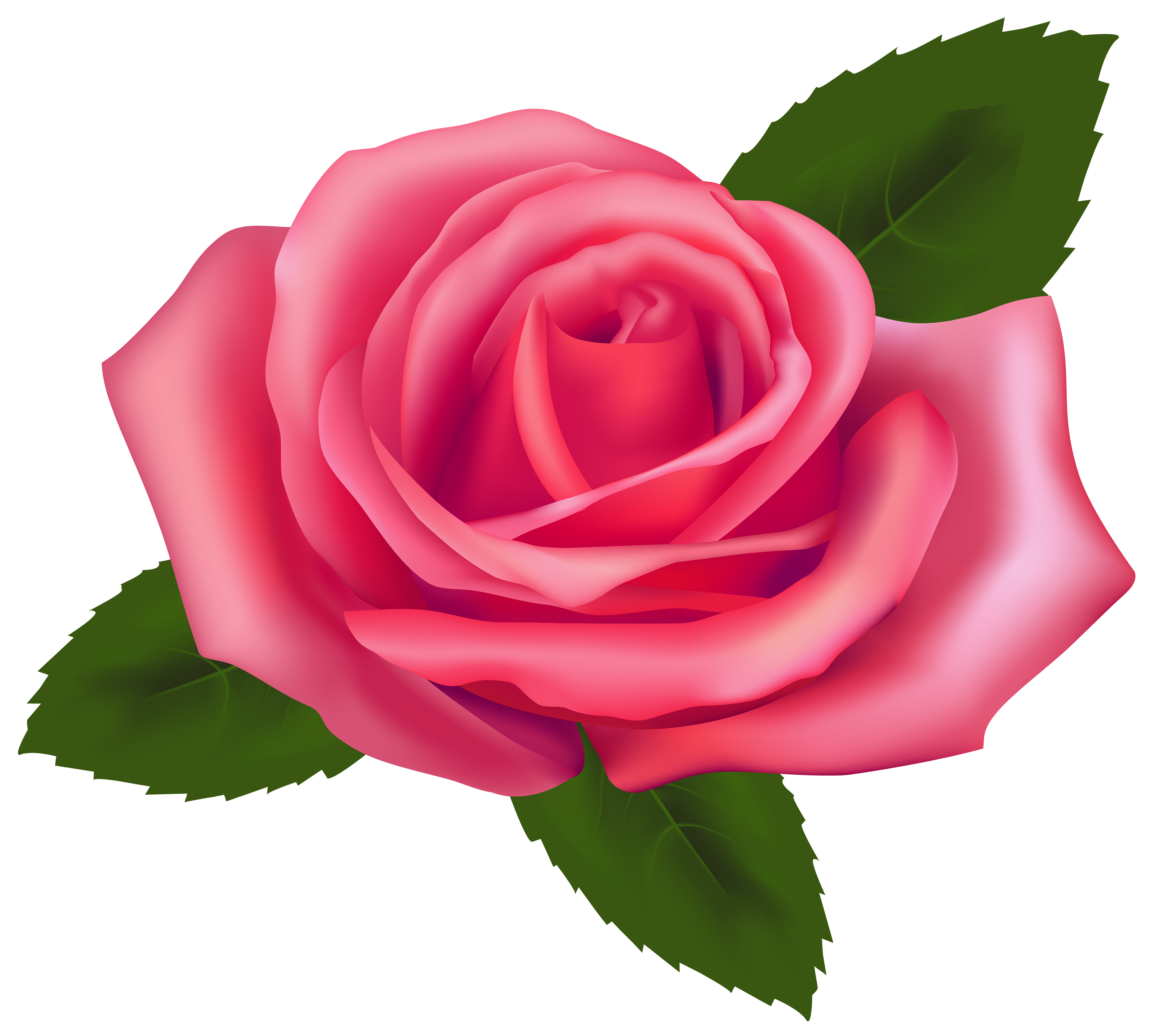 Beautiful Pink Rose PNG Clipart - Best WEB Clipart