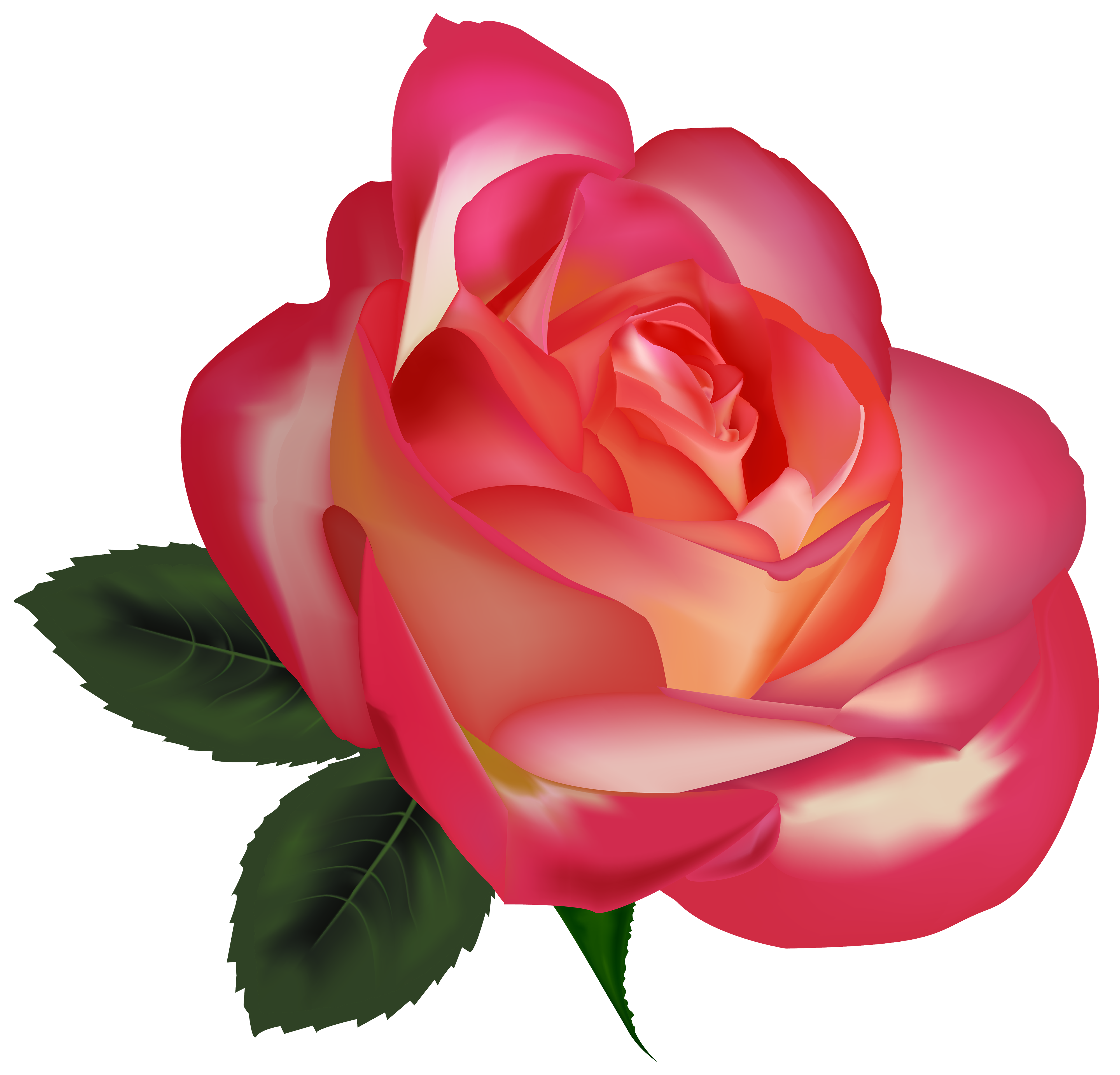 Beautiful Rose PNG Clipart Image Best WEB Clipart