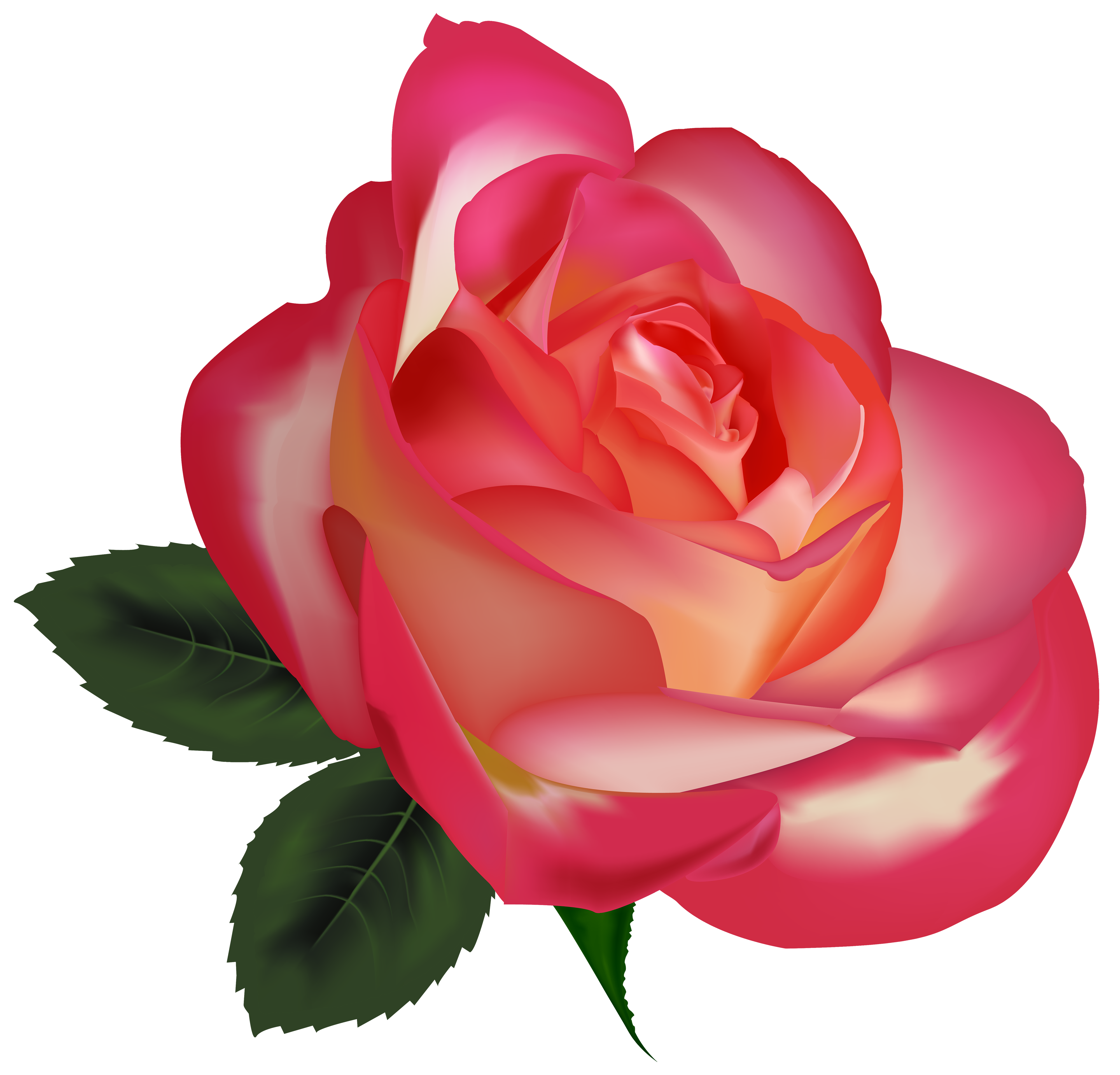 Beautiful Rose PNG Clipart Image - Best WEB Clipart