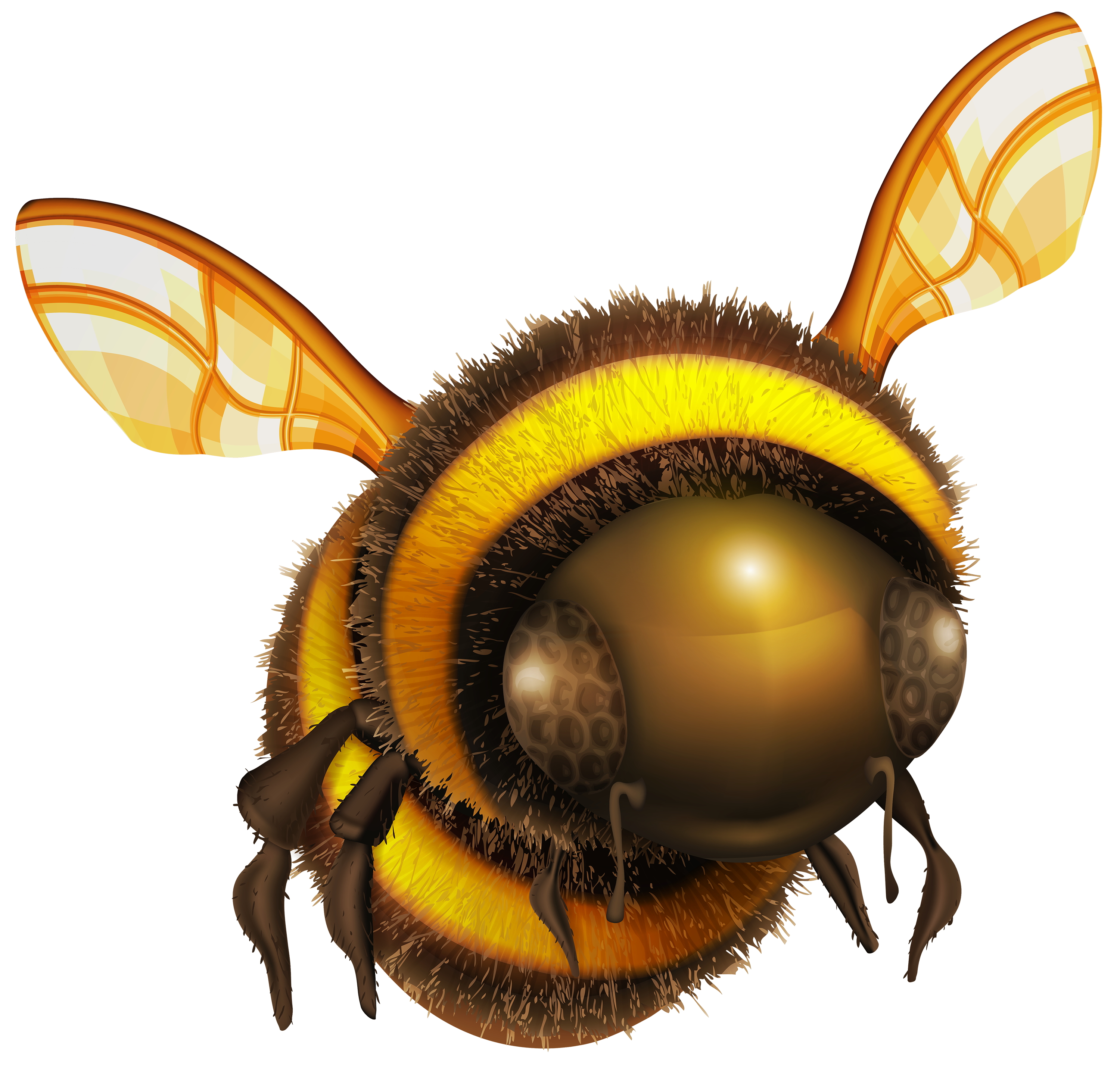 Bee PNG Clip Art - Best WEB Clipart