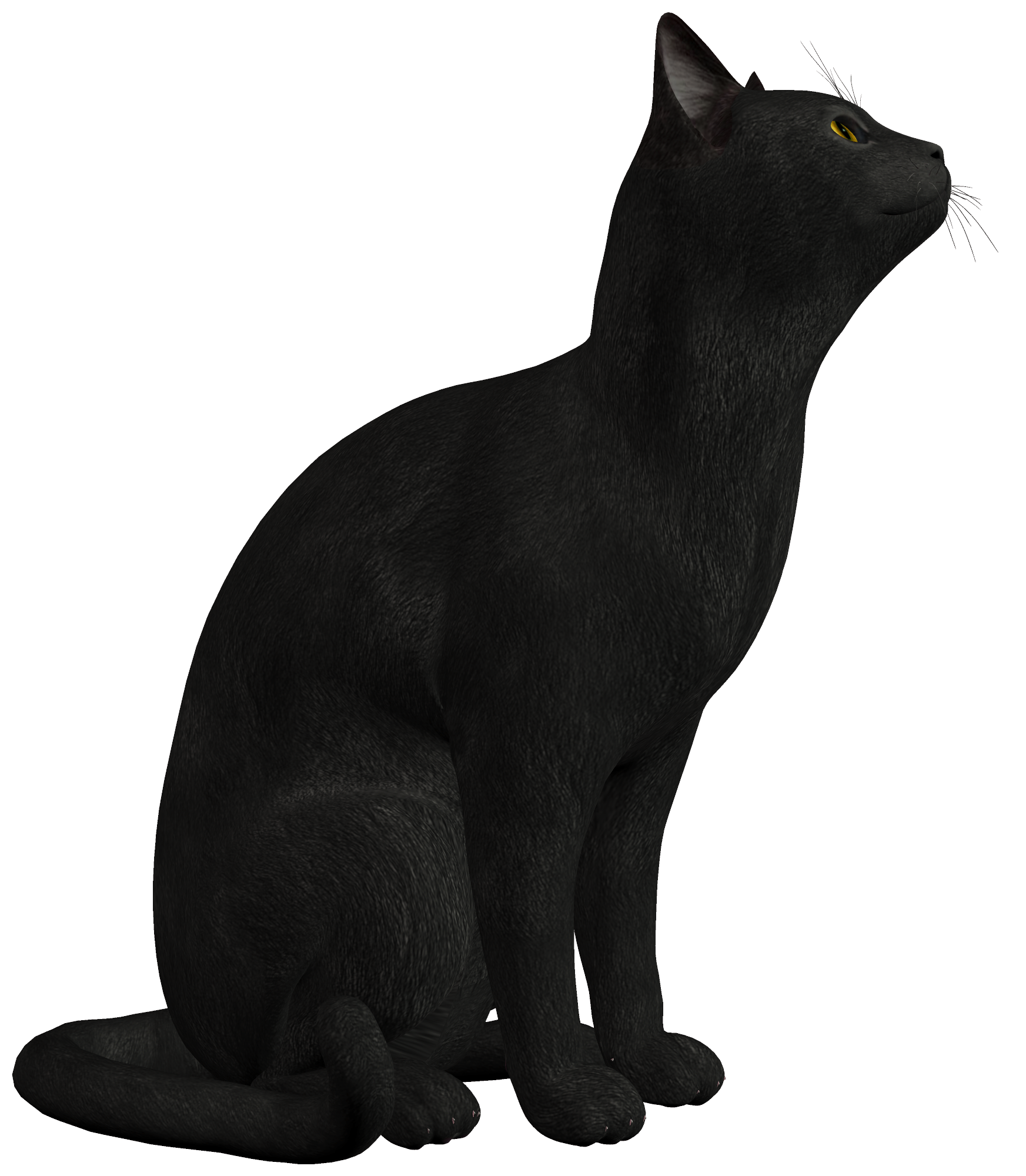 Black Cat PNG Clipart - Best WEB Clipart