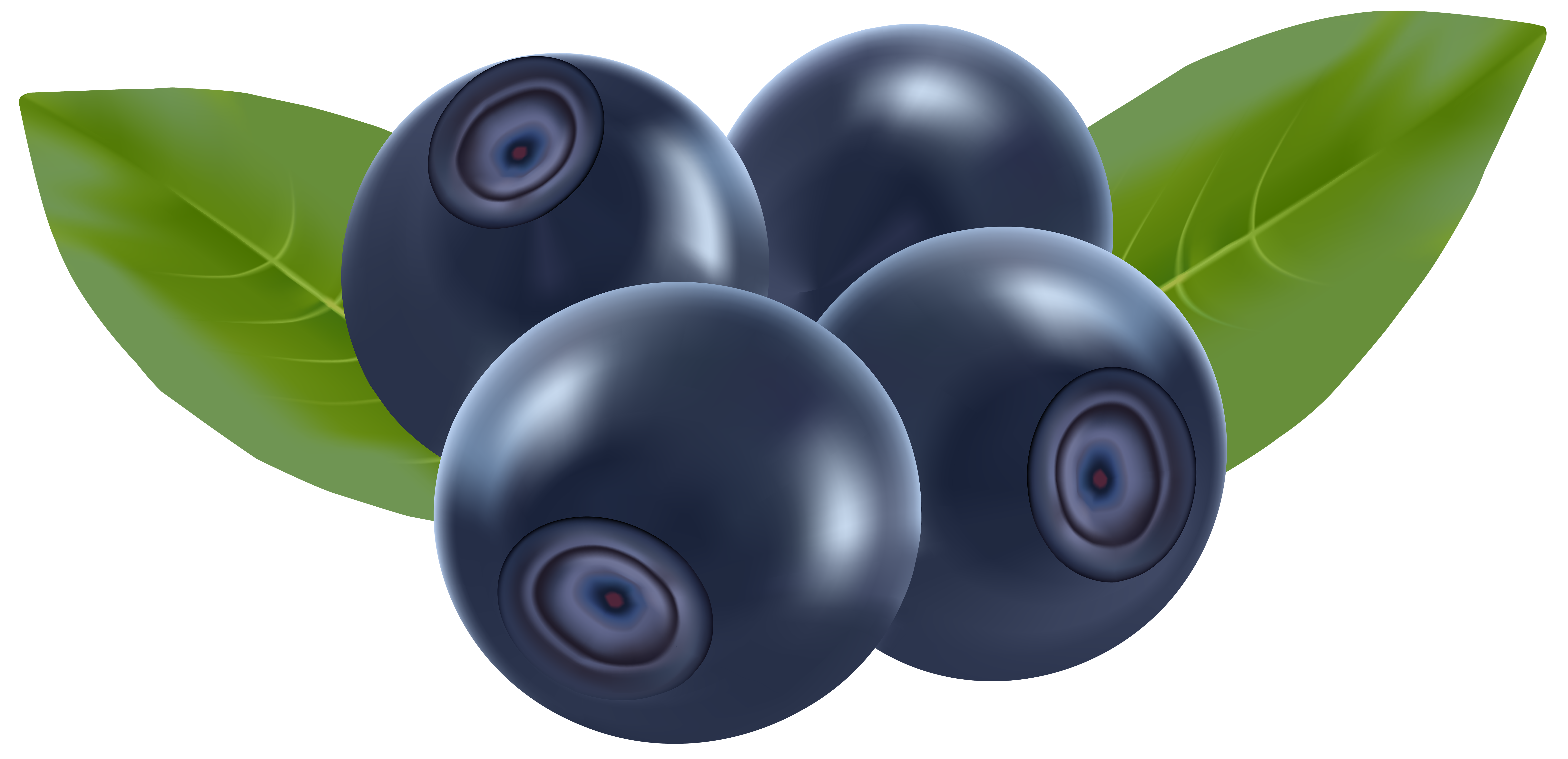 Blueberries PNG Clip Art - Best WEB Clipart