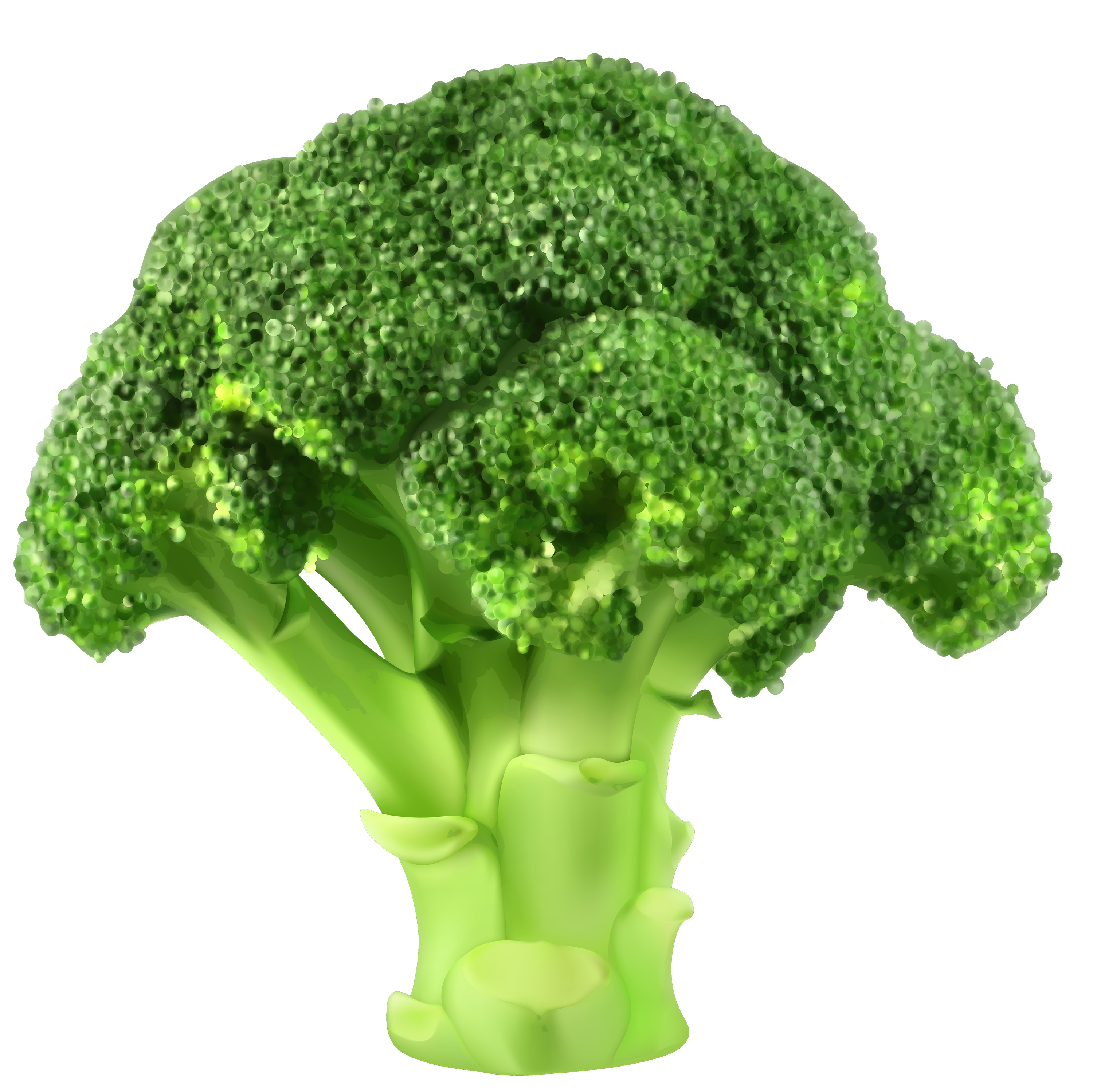 Broccoli Download Mp3 Free