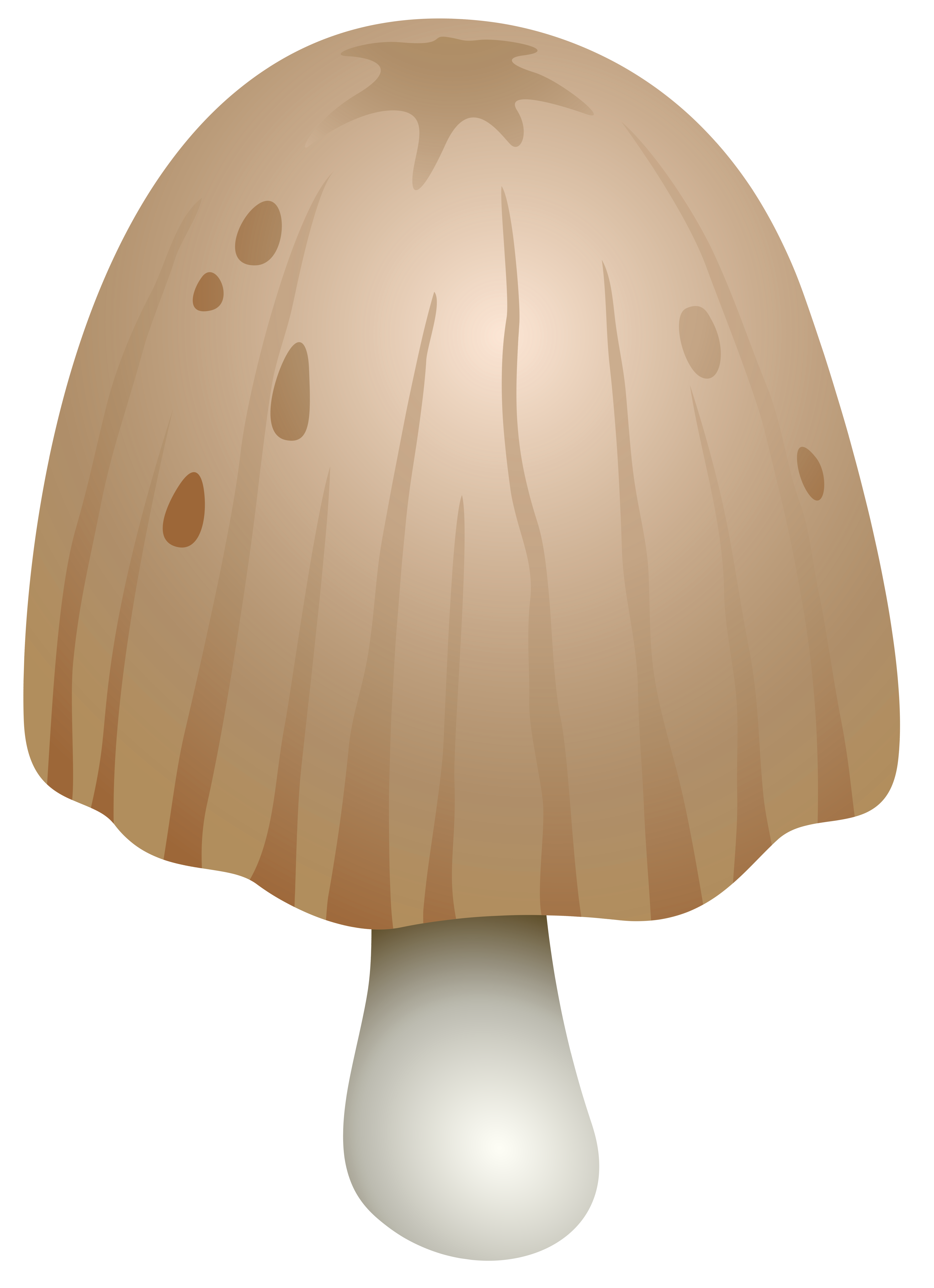 Coprinus Comatus Mushroom PNG Clipart - Best WEB Clipart