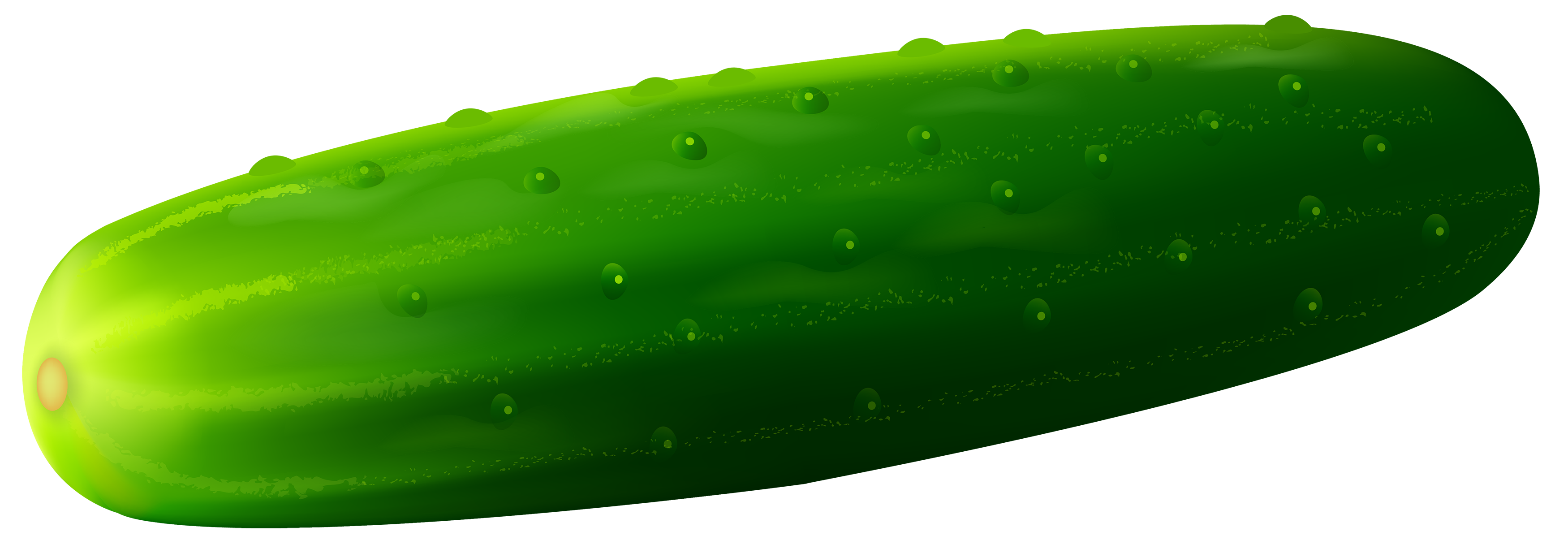 Cucumber PNG Clipart - Best WEB Clipart