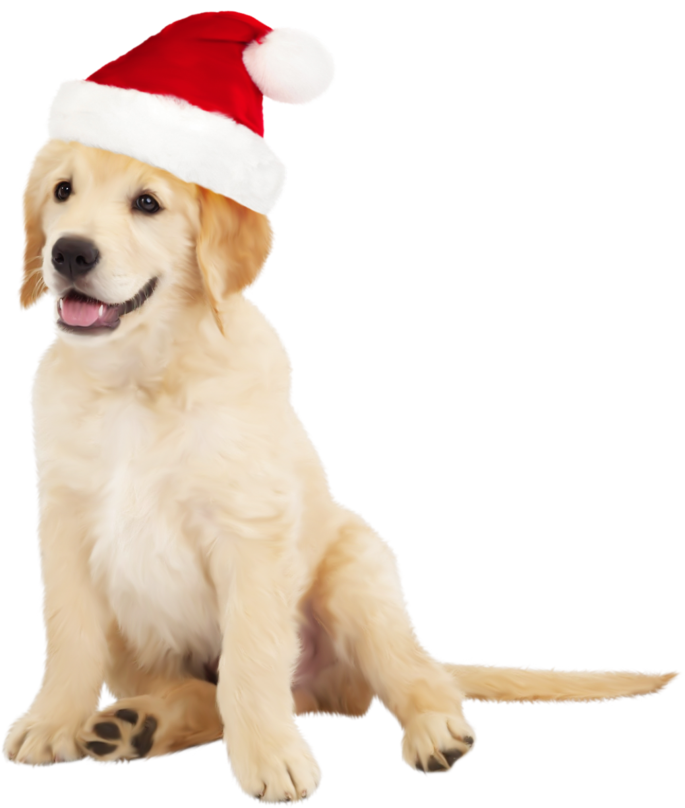 Cute Dog with Santa Hat PNG Clipart - Best WEB Clipart