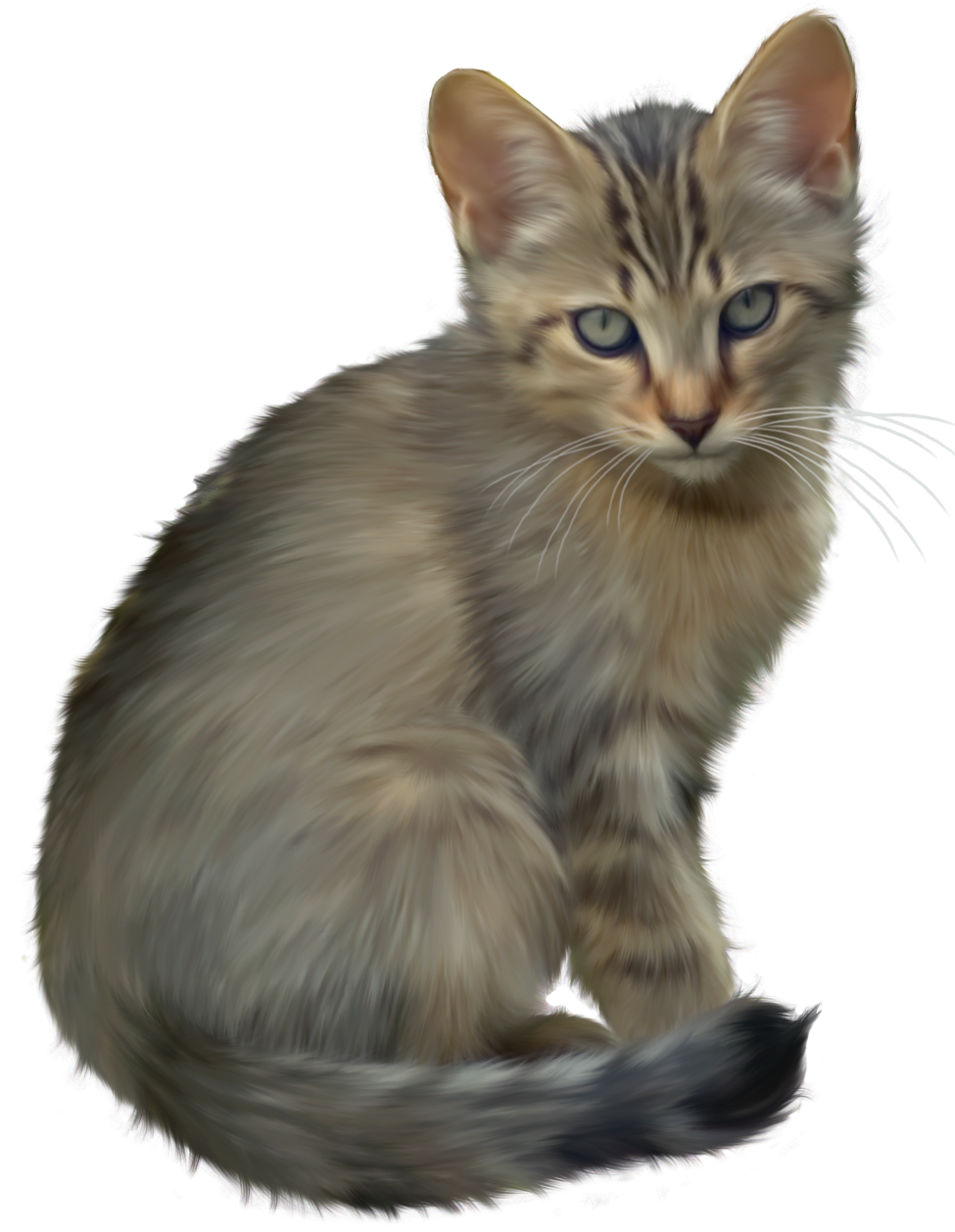 Cute Kitten PNG Clipart - Best WEB Clipart