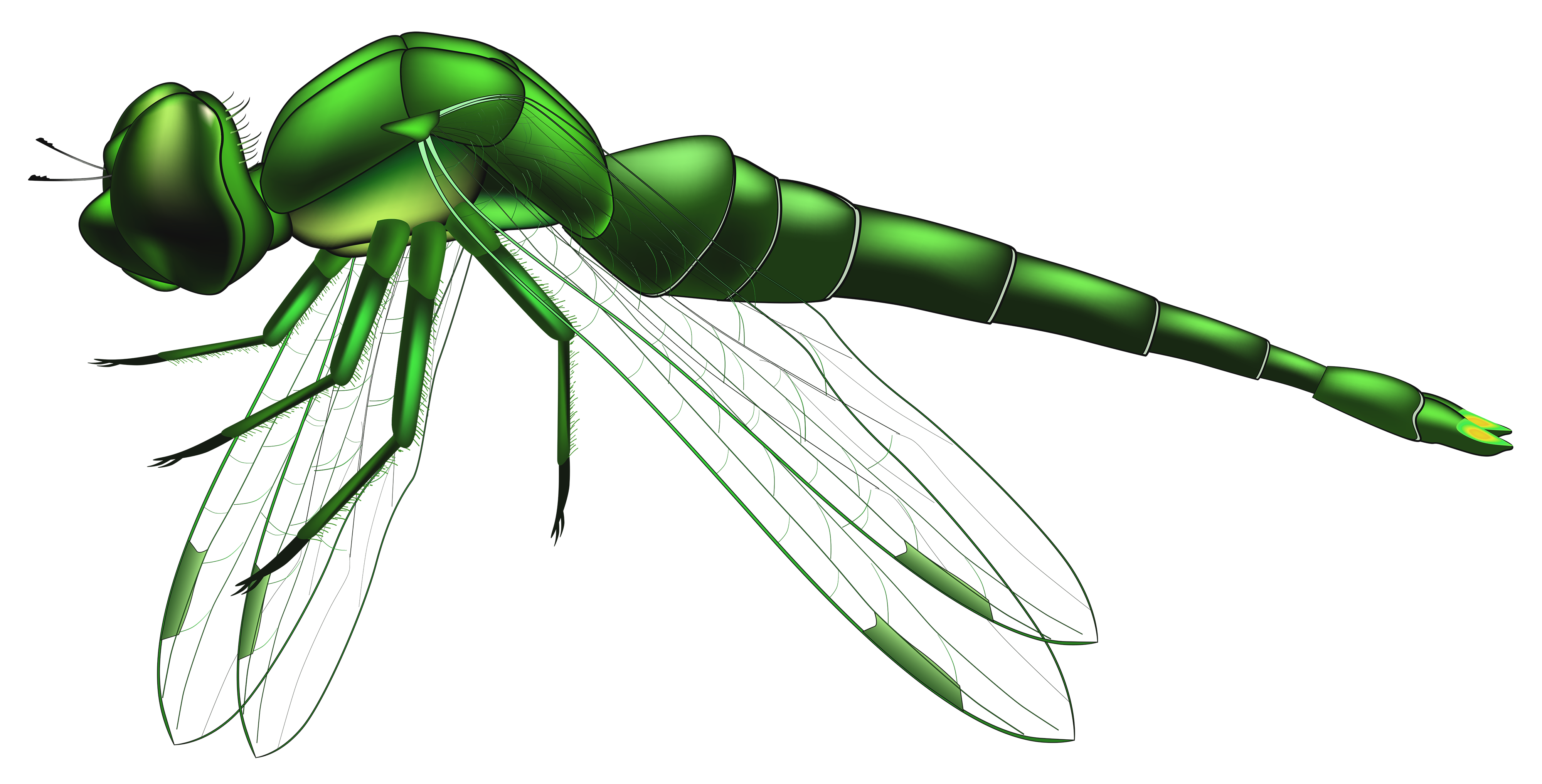 Dragonfly Green PNG Clip Art - Best WEB Clipart