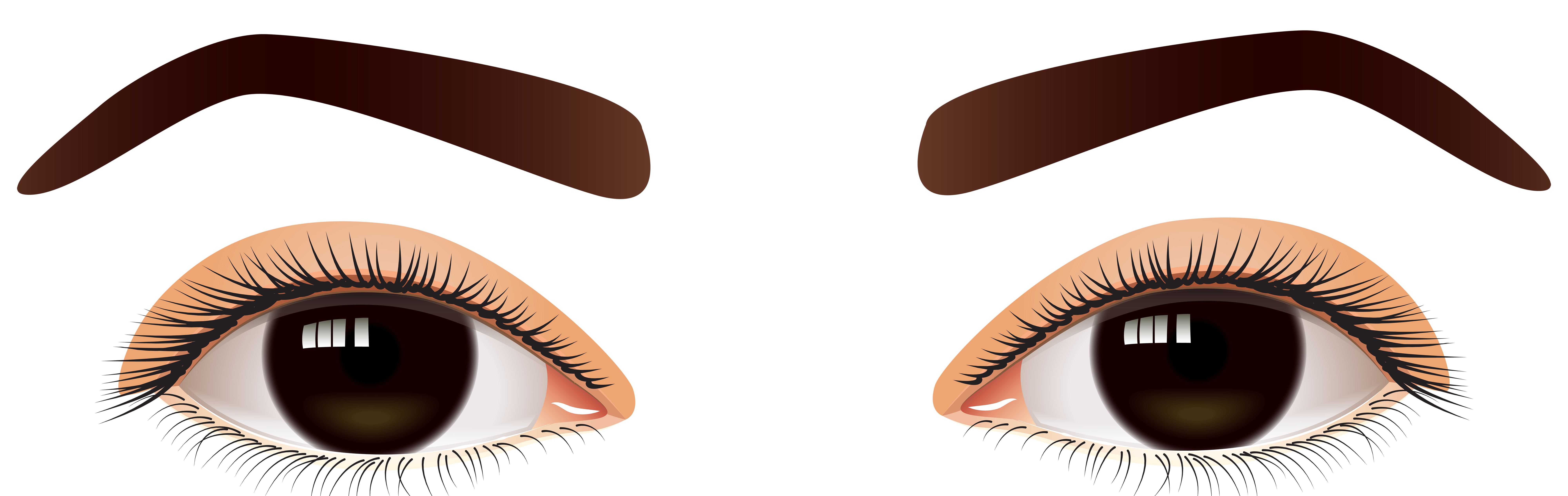 Female Brown Eyes PNG Clip Art - Best WEB Clipart