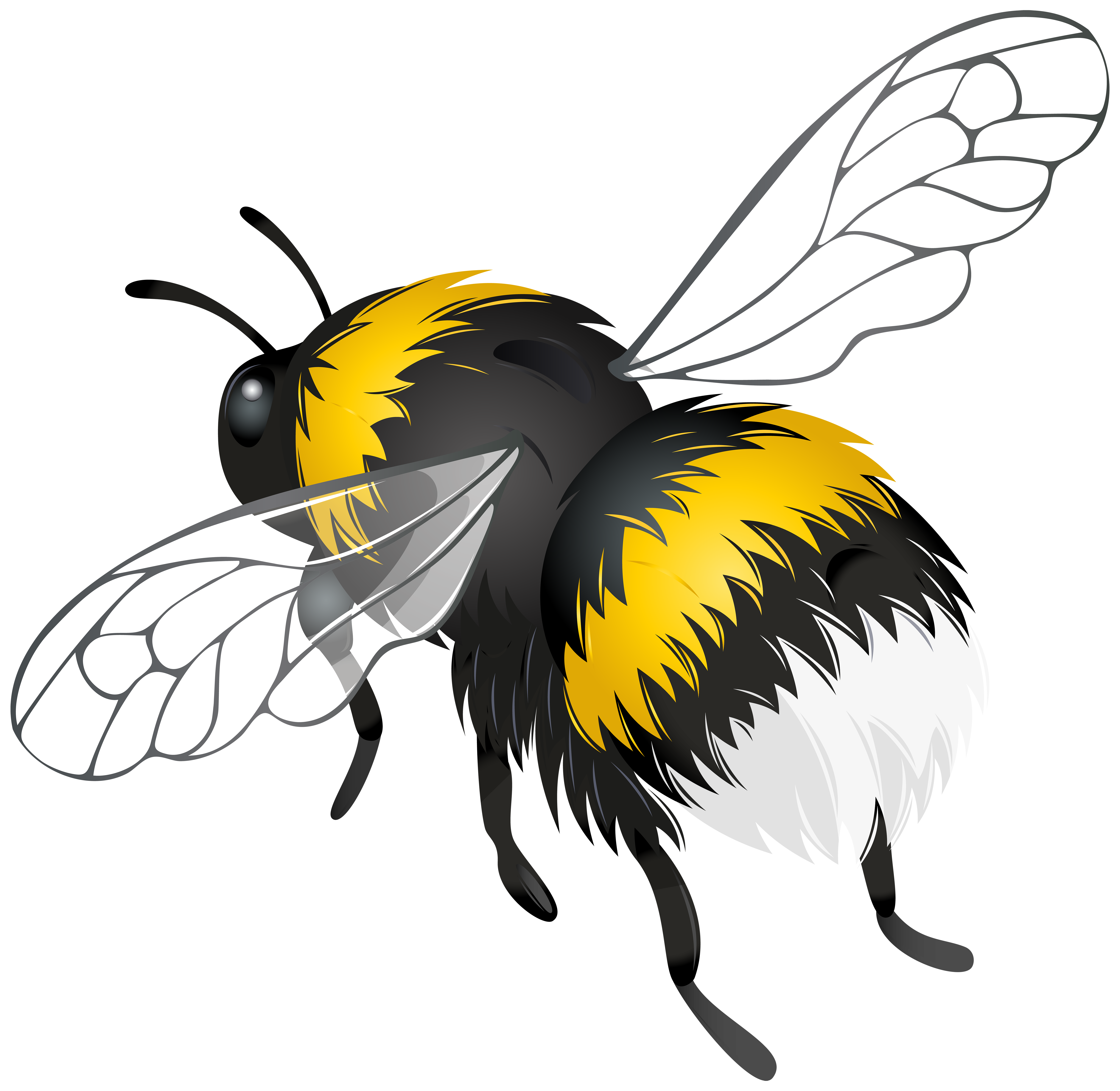 Flying Bee Png Clipart Best Web Clipart