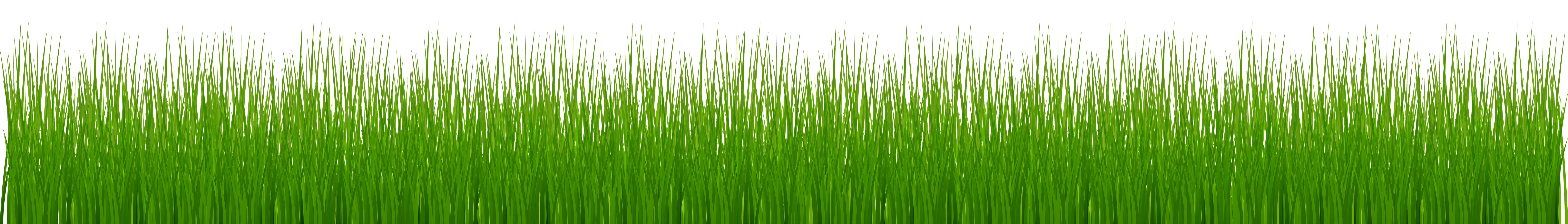 Garden Grass PNG Clip Art - Best WEB Clipart