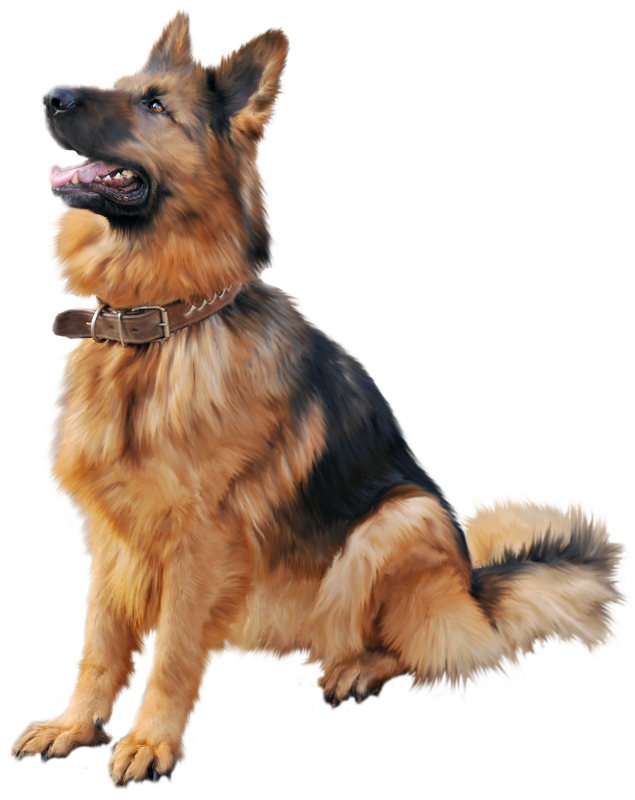 German Shepherd Dog PNG Clipart - Best WEB Clipart
