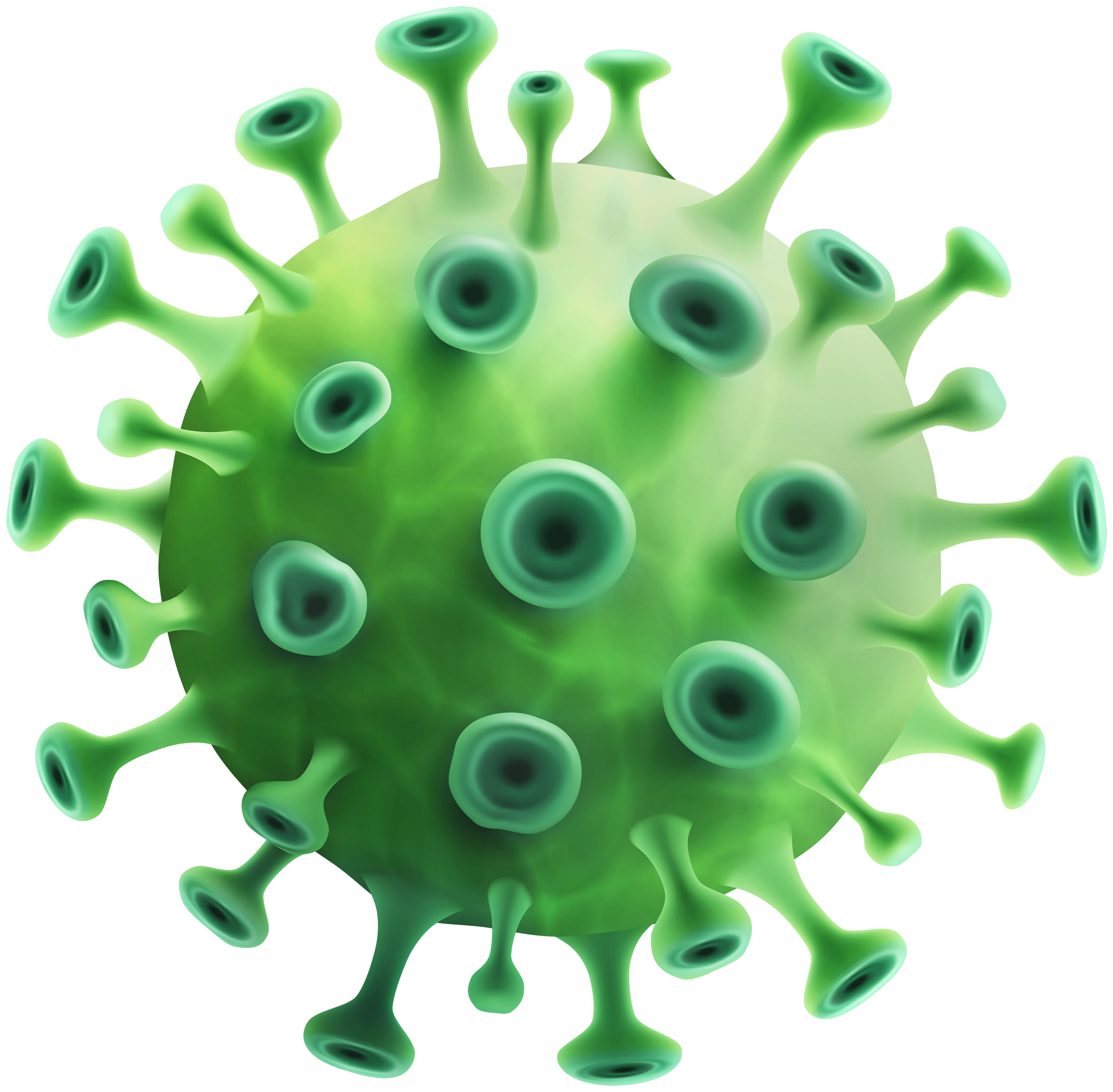 Green Coronavirus PNG Clipart - Best WEB Clipart